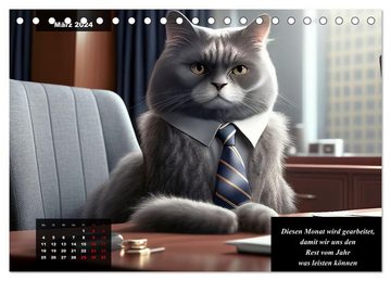 CALVENDO Wandkalender Der humoristische Katzen Kalender (Tischkalender 2024 DIN A5 quer)