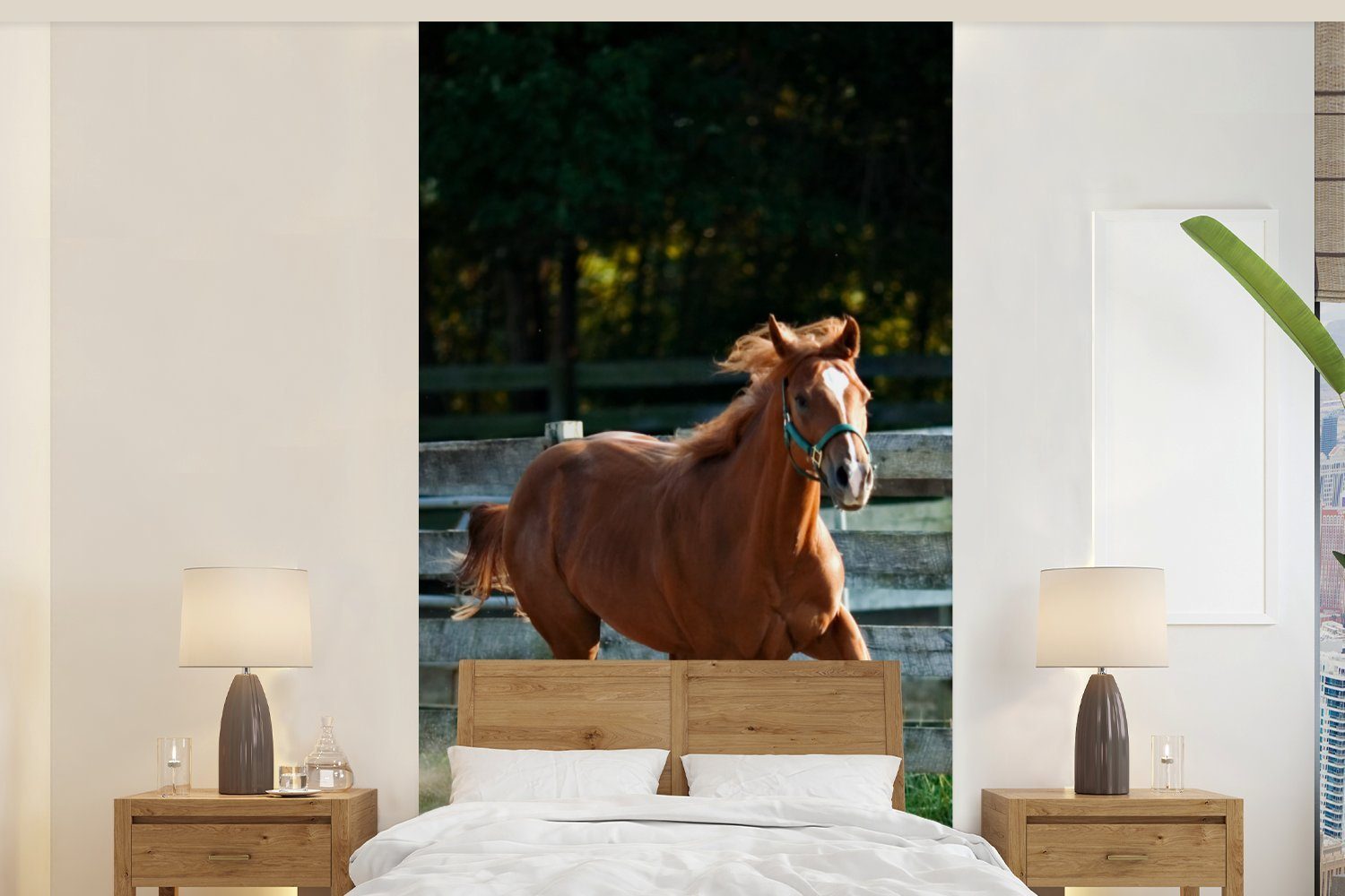 MuchoWow Fototapete Pferd - Licht Vliestapete für St), - Küche, Schlafzimmer Sand, Wohnzimmer (2 bedruckt, Matt, Fototapete
