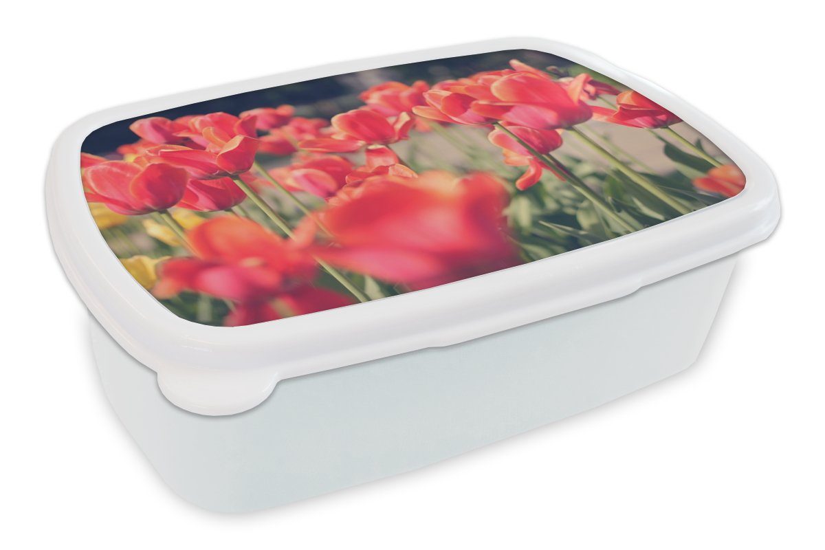 MuchoWow Lunchbox Tulpen - Blumen - Natur, Kunststoff, (2-tlg), Brotbox für Kinder und Erwachsene, Brotdose, für Jungs und Mädchen weiß