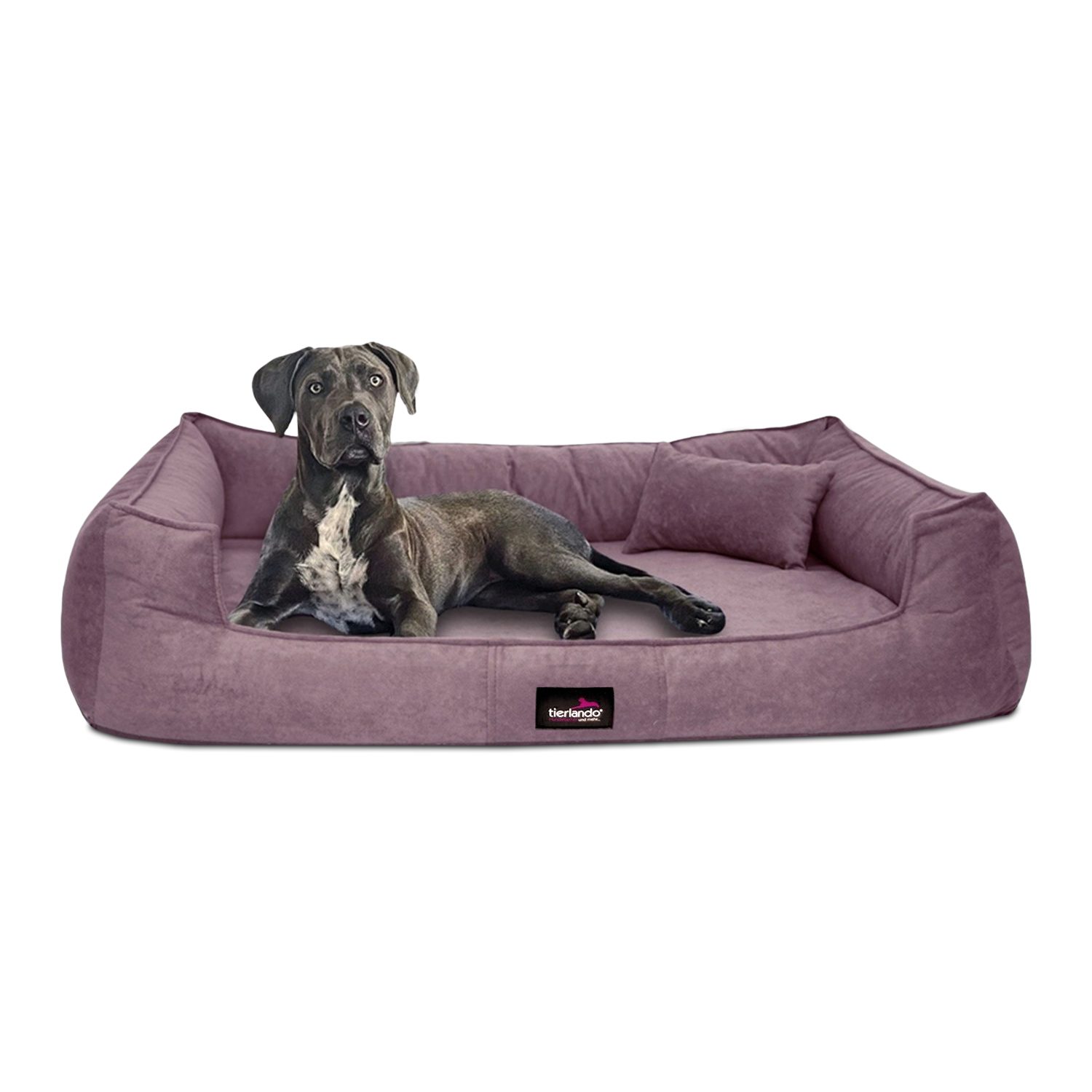 tierlando® Tierbett Orthopädisches Hundebett BRUCE VELOURS günstig online kaufen