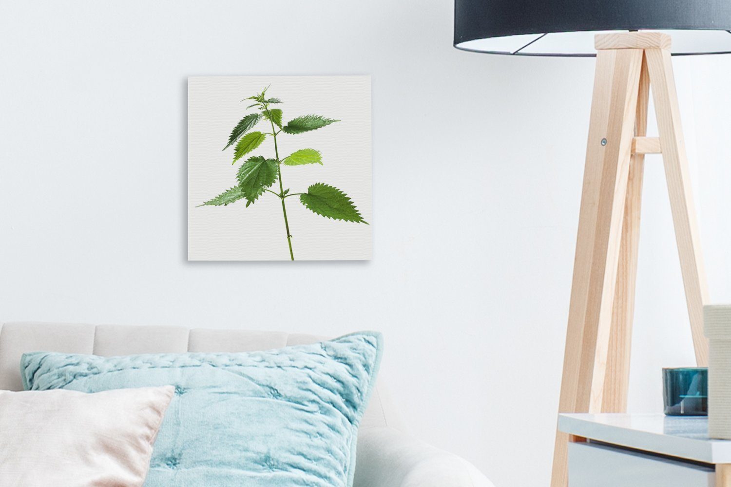 Brennnesselpflanze, Eine Leinwandbild Schlafzimmer Bilder (1 Wohnzimmer St), für OneMillionCanvasses® Leinwand