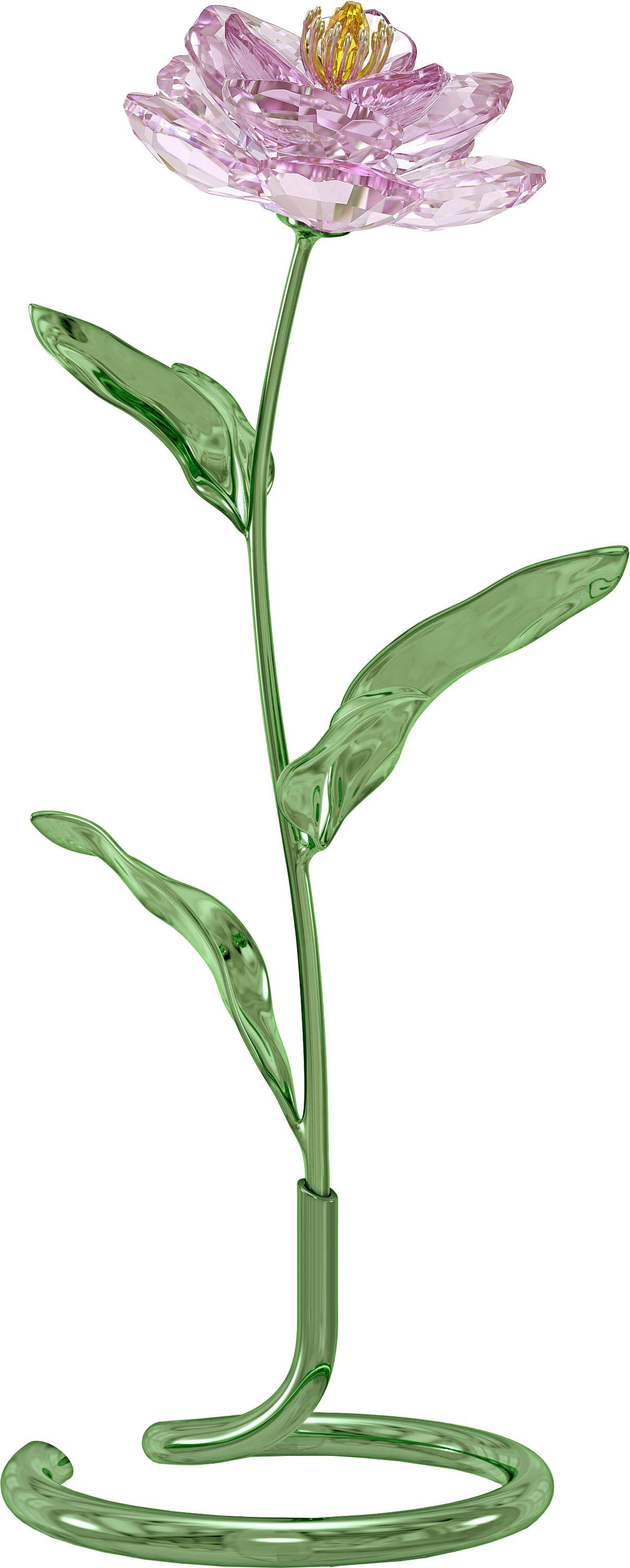 Swarovski Glasblume Dekofigur Kristallfigur Sammelfigur Florere günstig online kaufen