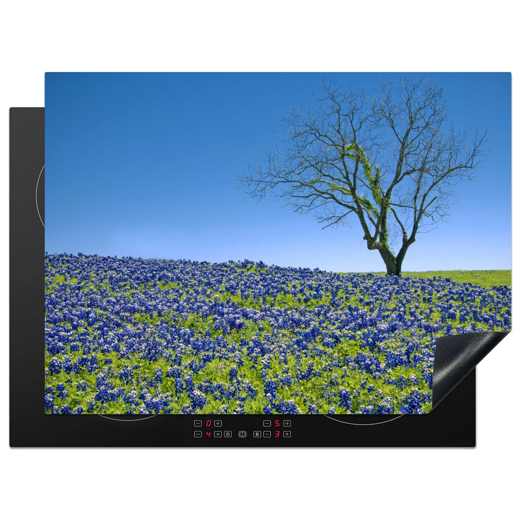 tlg), Schutz cm, Bluebonnet 71x52 Blumen, Induktionskochfeld (1 Vinyl, für küche, Hügel Herdblende-/Abdeckplatte Texas Ceranfeldabdeckung mit MuchoWow die gefüllt
