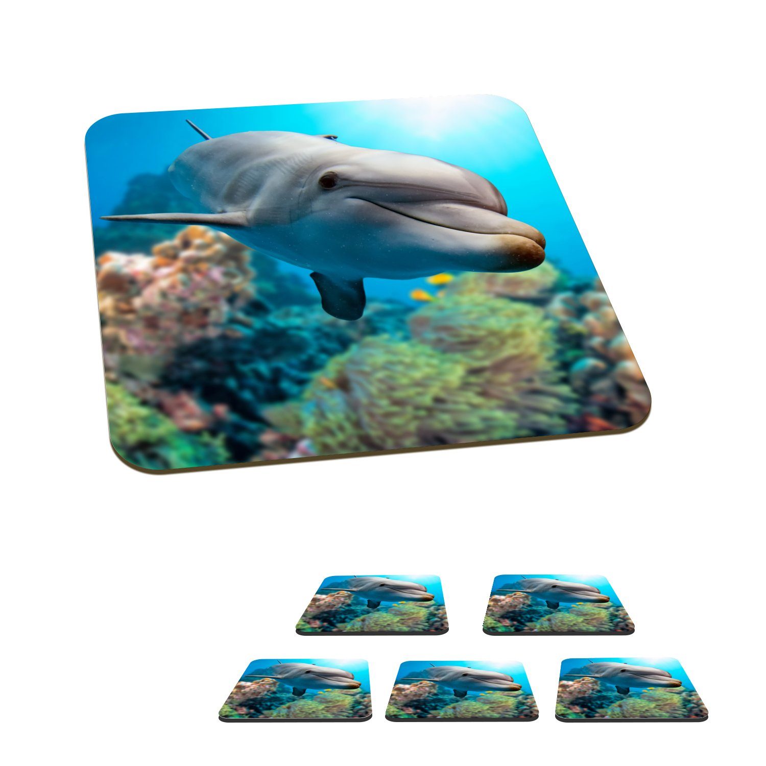 MuchoWow Glasuntersetzer Delfin - Meer - Koralle, Zubehör für Gläser, 6-tlg., Glasuntersetzer, Tischuntersetzer, Korkuntersetzer, Untersetzer, Tasse