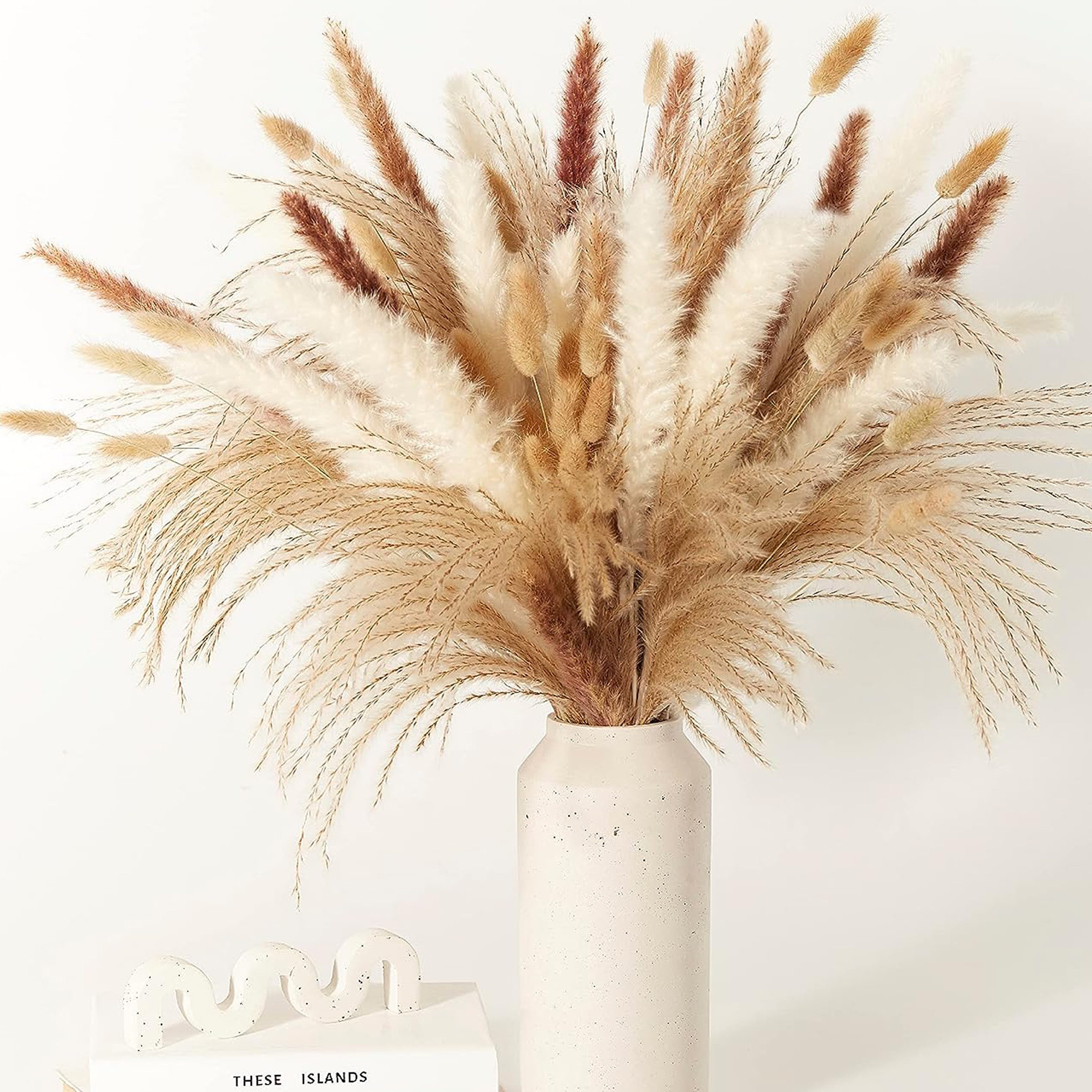 Trockenblume Pampasgras Trockenblumen Deko,75 Stück Pampasgras Getrocknet B günstig online kaufen