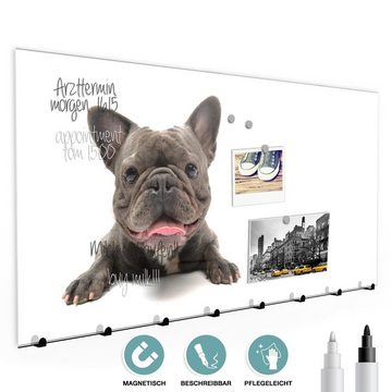 Primedeco Garderobenpaneel Magnetwand und Memoboard aus Glas Französische Bulldogge