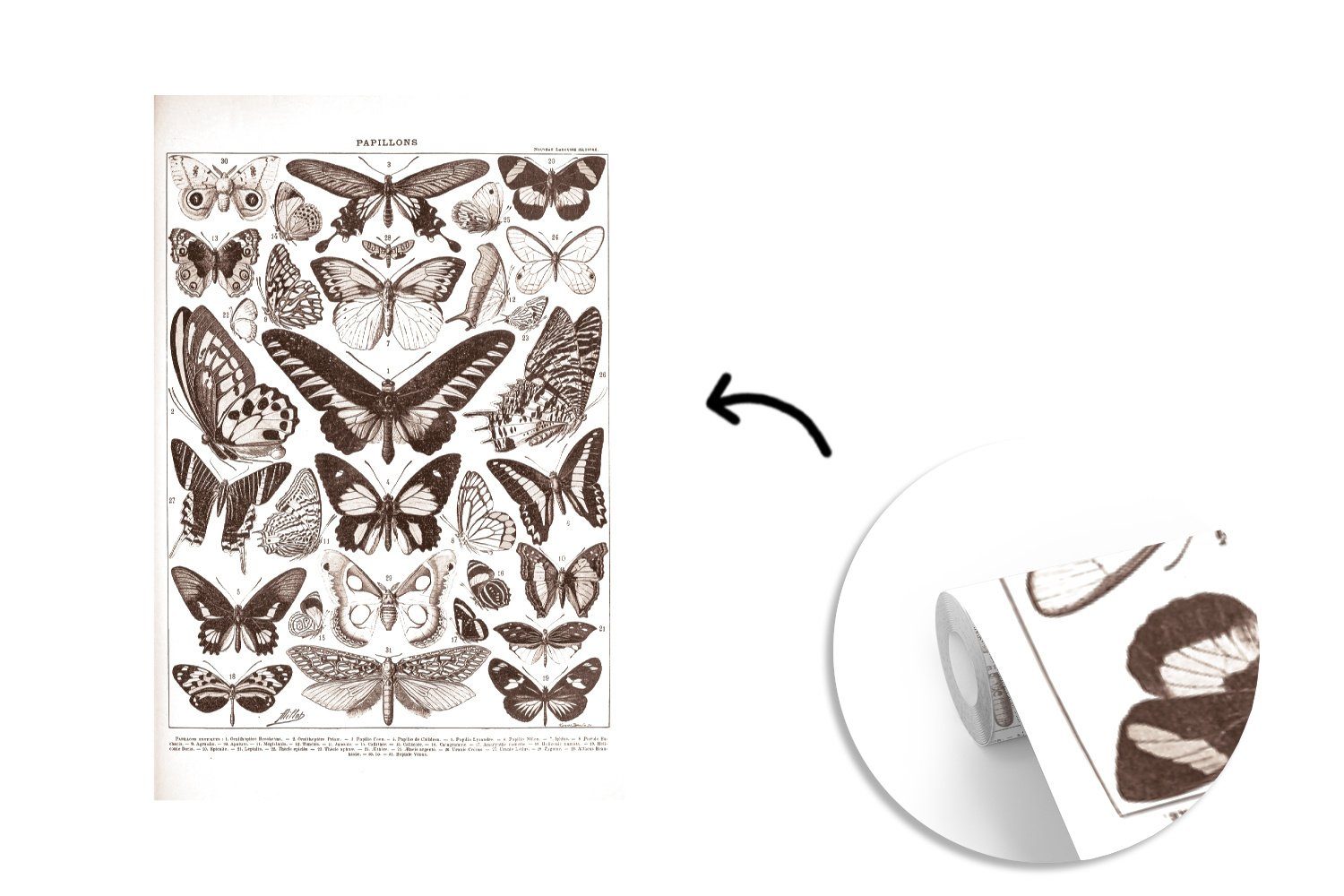 (3 Wohnzimmer, bedruckt, St), Tiere, Wandtapete Fototapete Montagefertig MuchoWow - - Matt, für Schmetterling Insekten Tapete Vinyl