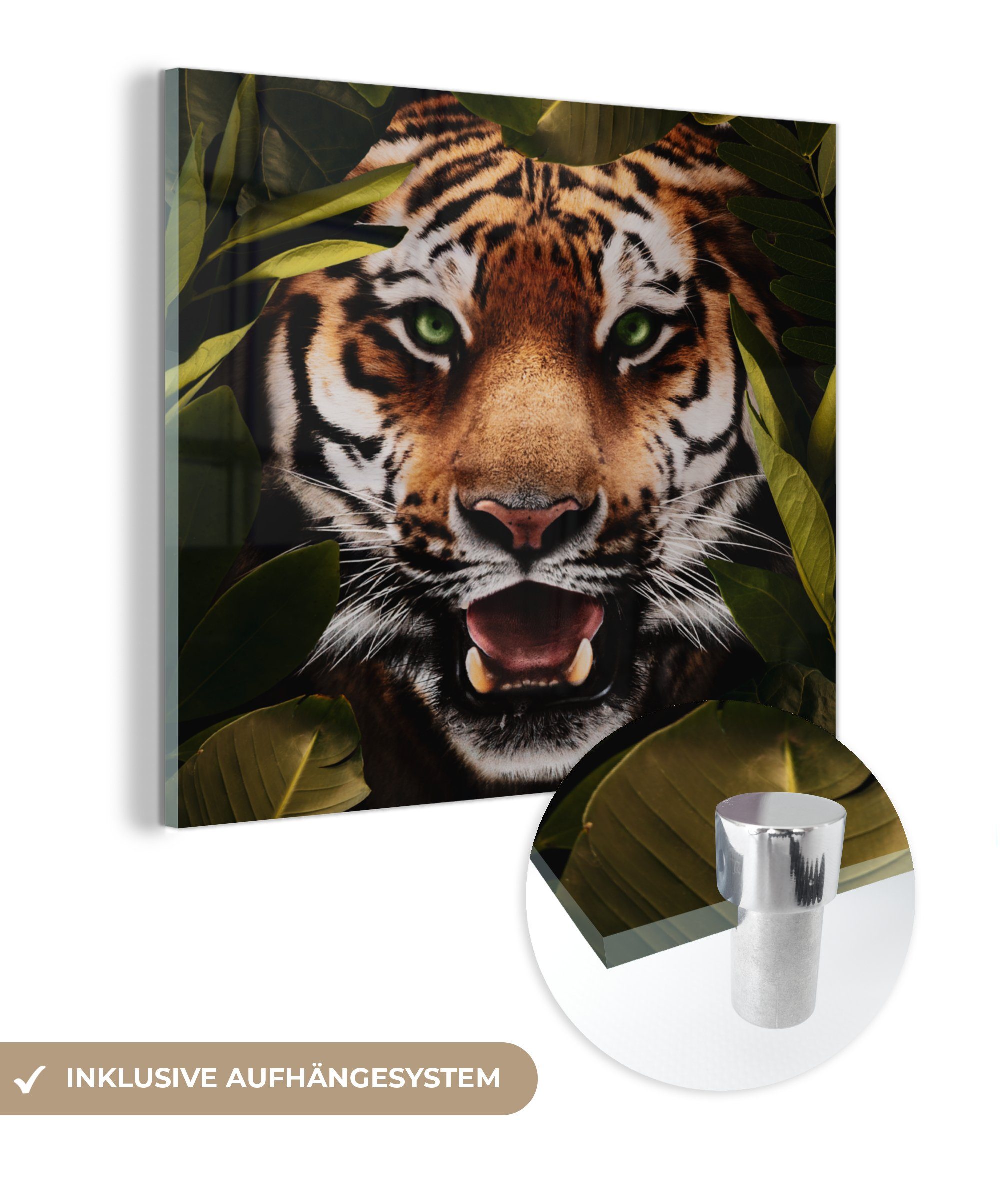 MuchoWow Acrylglasbild Tiger - Blätter - Tiere, (1 St), Glasbilder - Bilder auf Glas Wandbild - Foto auf Glas - Wanddekoration