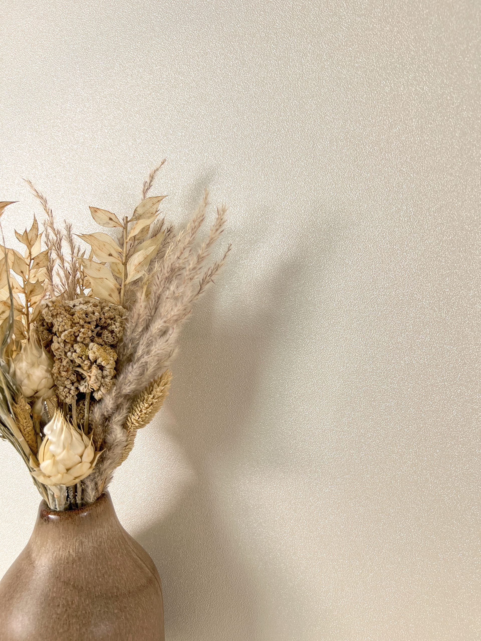 Newroom Vliestapete, Beige Tapete Modern Unifarbe - Universal Einfarbig Uni günstig online kaufen