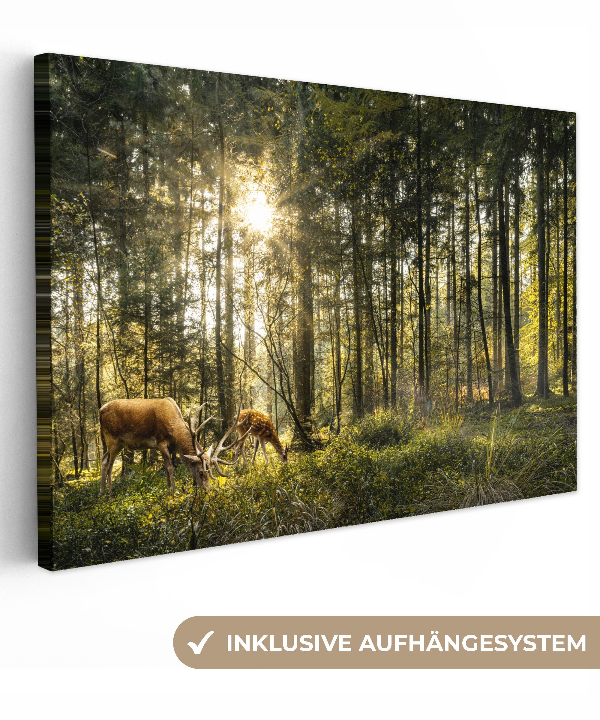 OneMillionCanvasses® Leinwandbild Hirsche - Natur - günstig online kaufen