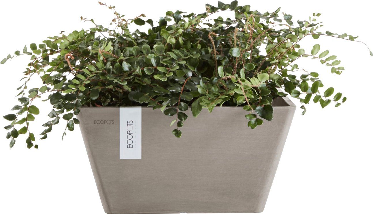 ECOPOTS Blumentopf BERLIN Taupe, BxTxH: 31x31x15,5 cm. Reduzierter Preis € 19,49. Unverbindliche Preisempfehlung € 24,95