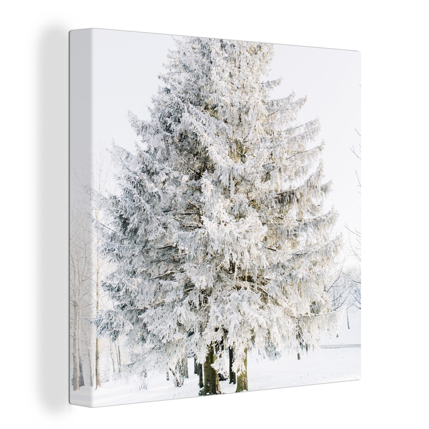 OneMillionCanvasses® Leinwandbild Winter - Baum - günstig online kaufen