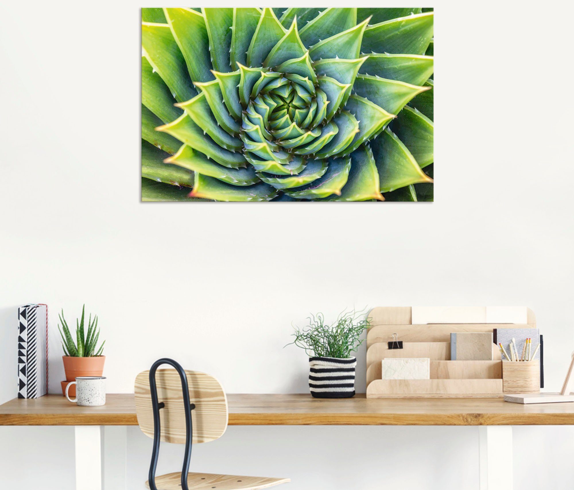 Alubild, Grüne Poster oder versch. als Pflanzenbilder Leinwandbild, Artland (1 Wandaufkleber Wandbild Spirale, St), in Größen