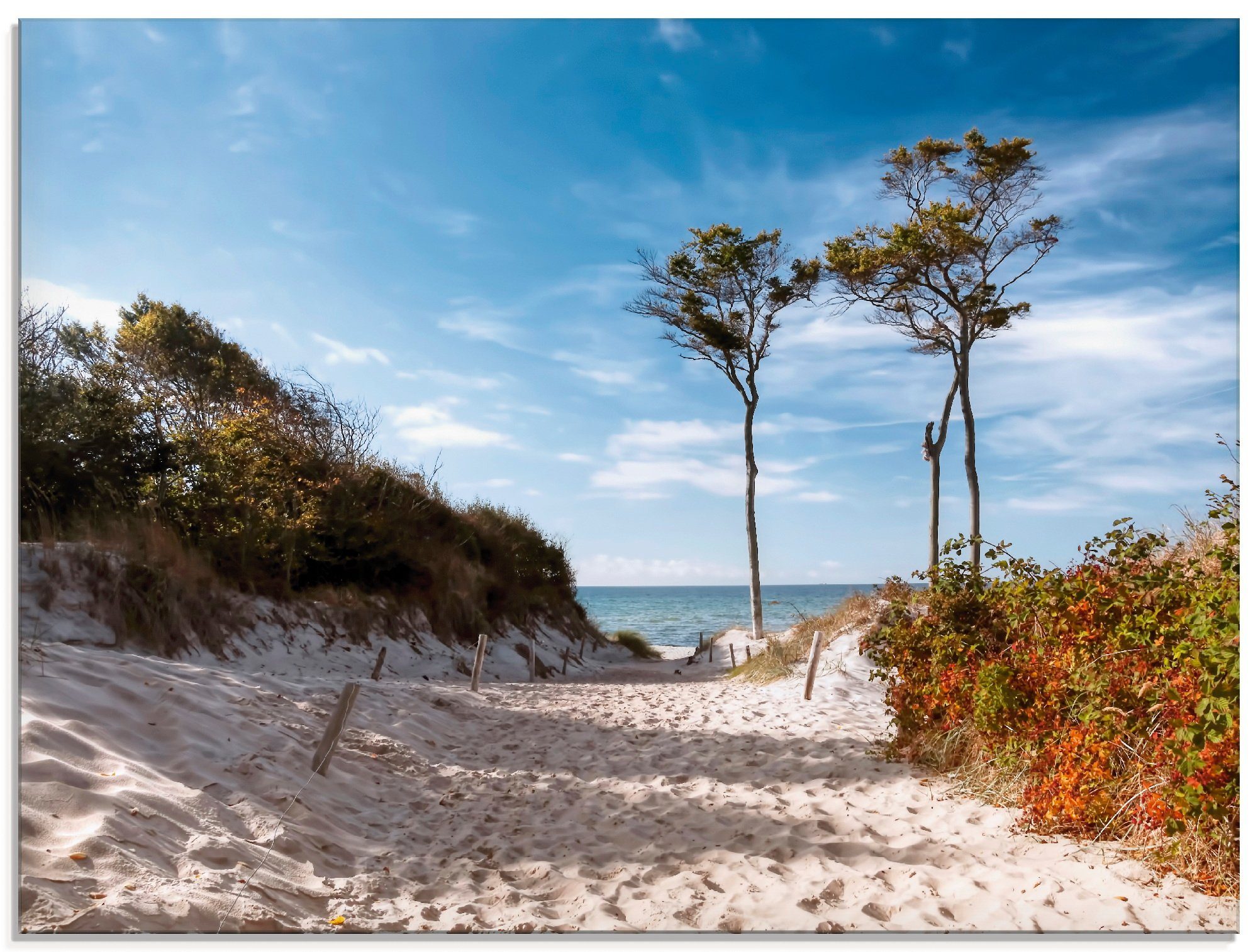 Artland Glasbild Weststrand Darss, Strand (1 St), in verschiedenen Größen | Bilder