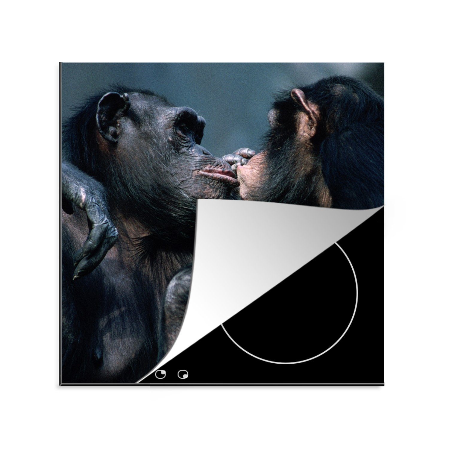 MuchoWow Schimpanse küche 78x78 Ceranfeldabdeckung, (1 Vinyl, für tlg), Herdblende-/Abdeckplatte cm, Tiere Arbeitsplatte - - Liebe,