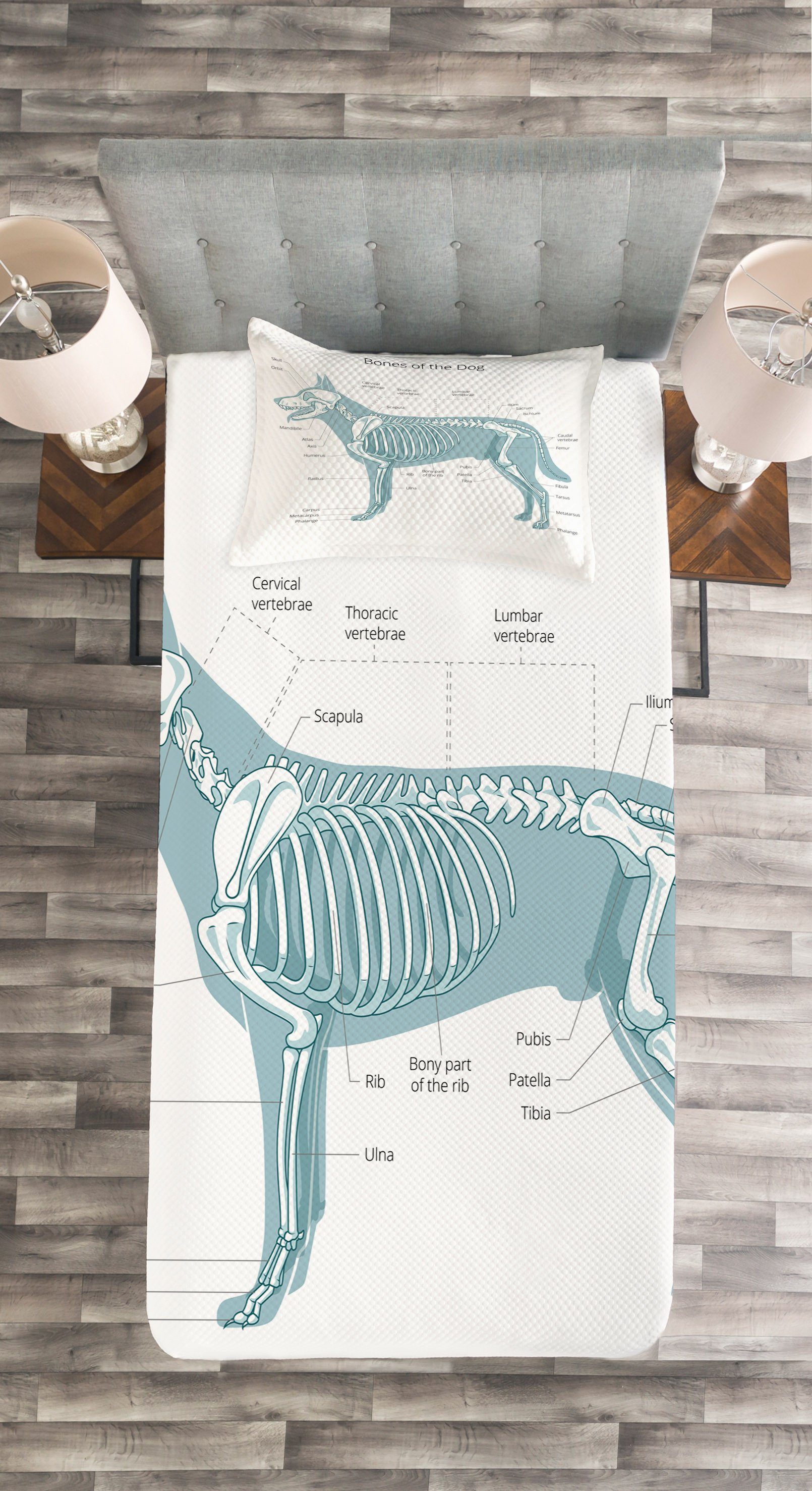 Set Kissenbezügen Knochen des mit Waschbar, Tabelle Hundes Abakuhaus, Skelett Tagesdecke