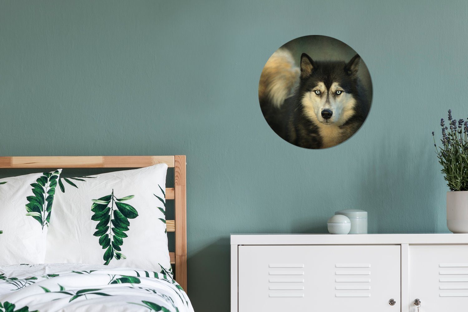 (1 Rund, in St), MuchoWow Tapetenkreis Kamera Wandsticker Tapetenaufkleber, Kinderzimmer, schaut die Husky Wohnzimmer für