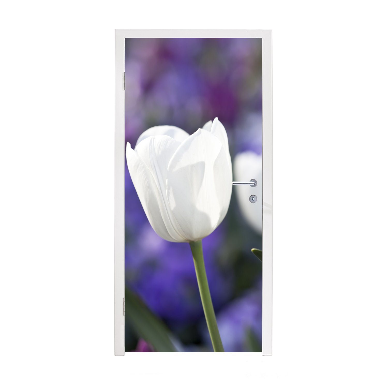 MuchoWow cm Tür, (1 für weißen der Tulpe, St), bedruckt, Türaufkleber, 75x205 Türtapete Fototapete Matt, einer Nahaufnahme weißen Blätter