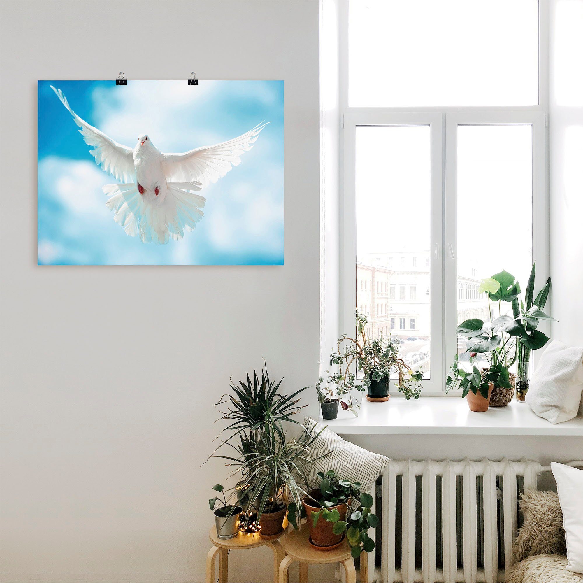 Artland Wandbild Taube mit Wandaufkleber Alubild, in Leinwandbild, oder ausgebreiteten Poster Flügeln, als St), (1 Vögel Größen versch