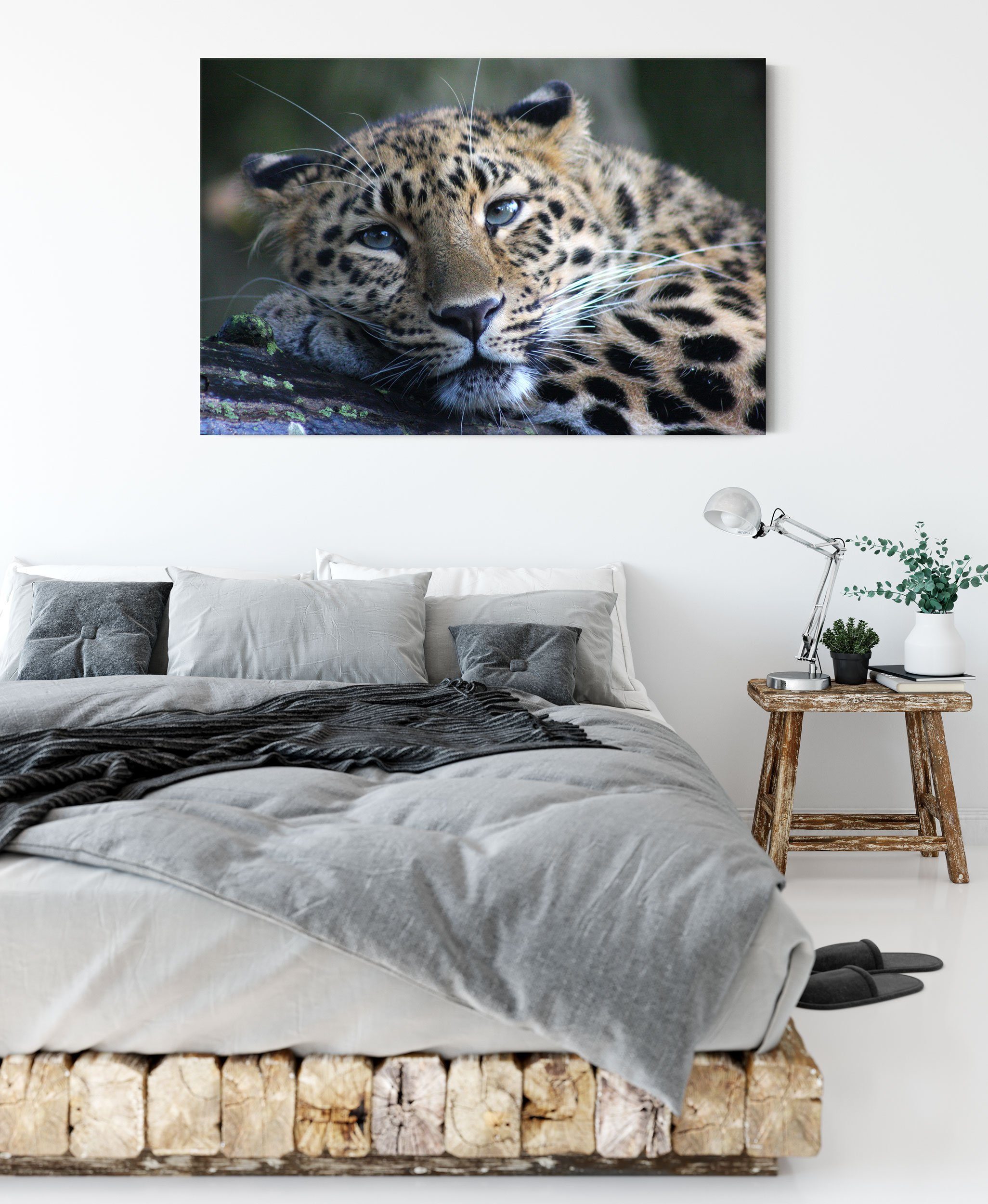 St), bespannt, Leopard Zackenaufhänger Leinwandbild Leinwandbild ruhender Leopard, inkl. Pixxprint ruhender (1 fertig
