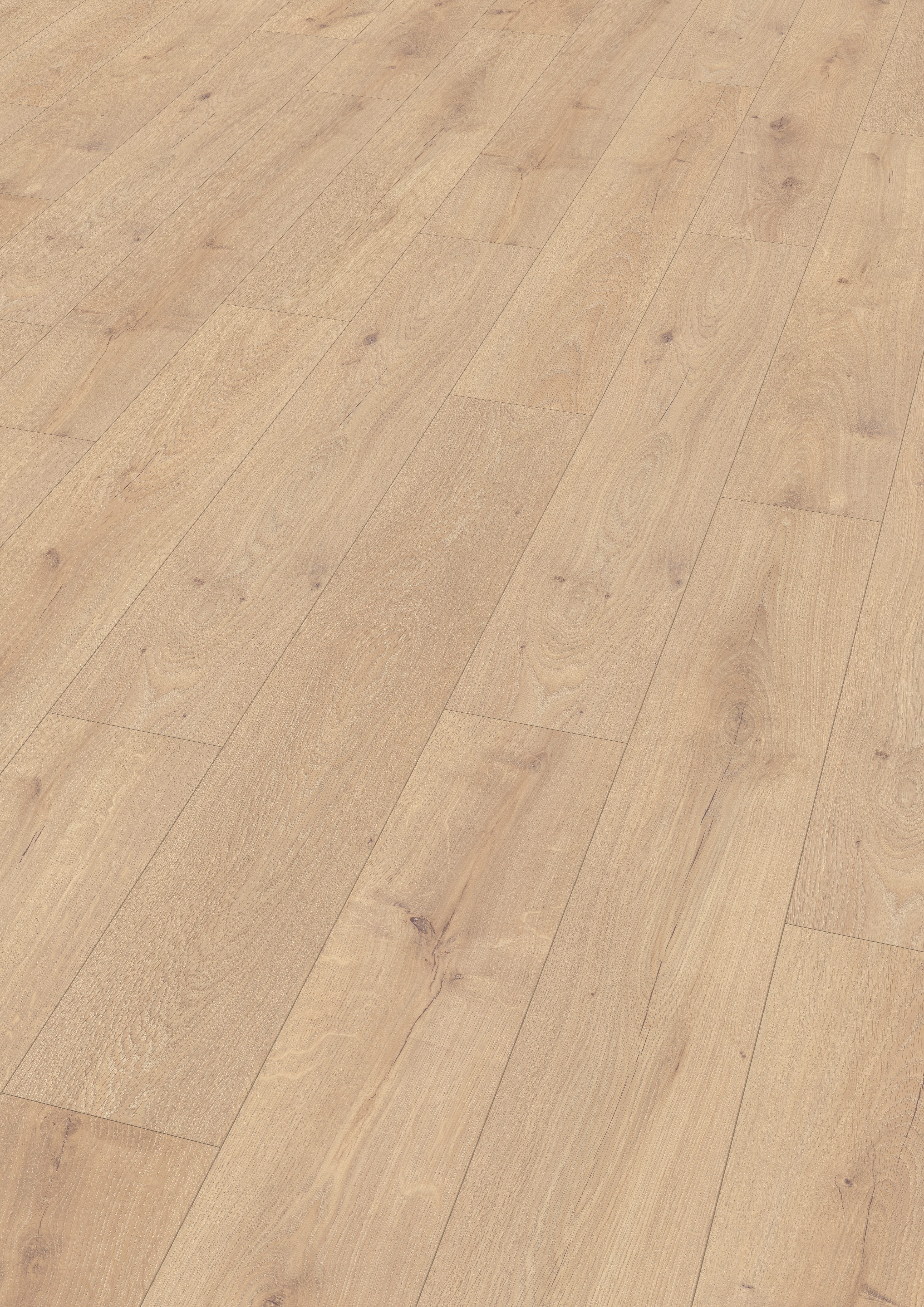 EGGER Laminat Promo NL2139 Florenz Eiche, (8mm, 1,995m), Praktisch & Pflegeleicht