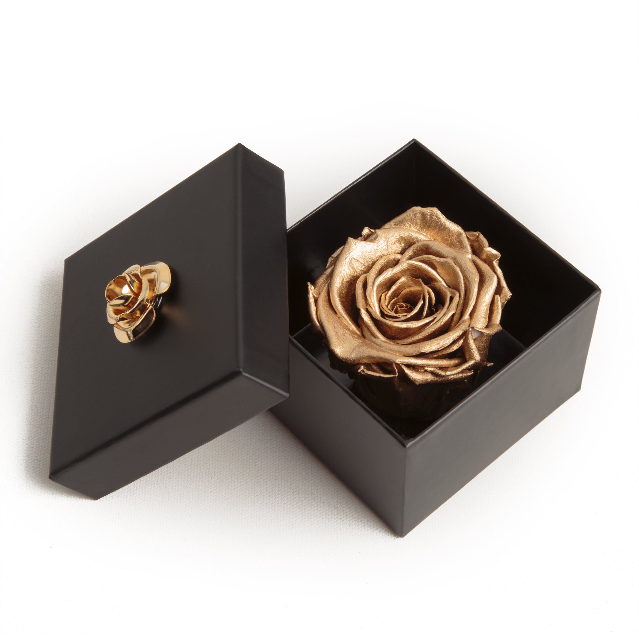 Kunstblume 1 Infinity Rose haltbar 3 Jahre Rose in Box mit Blumendeckel Rose, ROSEMARIE SCHULZ Heidelberg, Höhe 6.5 cm, Echte Rose haltbar bis zu 3 Jahre gold