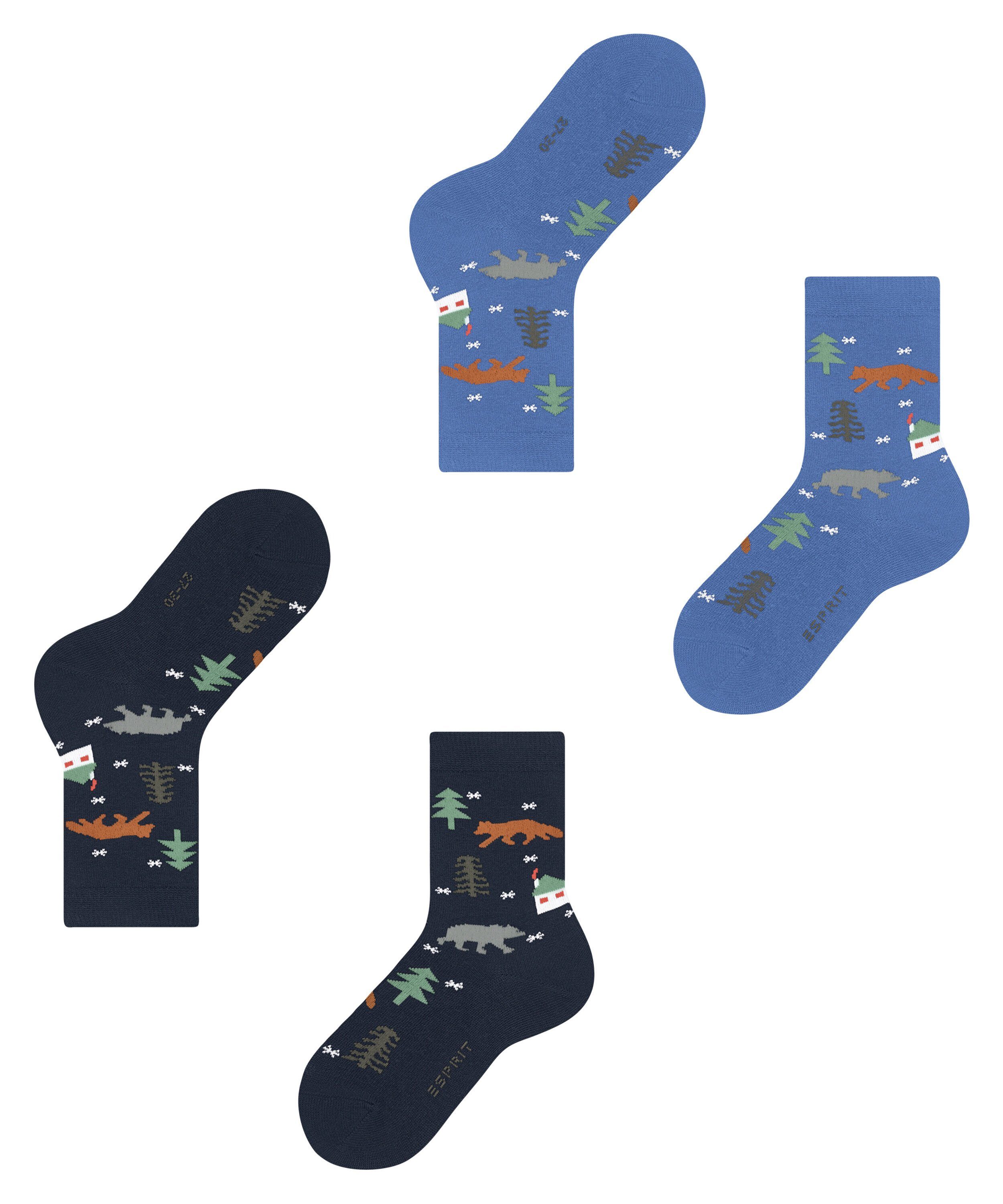 Esprit 2-Pack (2-Paar) sortiment Socken Adventure (0040)