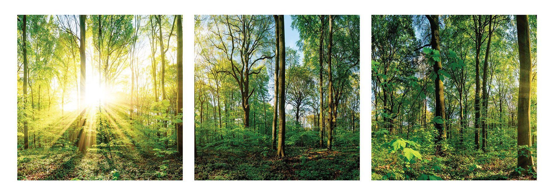 Levandeo® Glasbild, 3er Set Wandbild je 30x30cm Glasbild Wald Natur Sonne Landschaft