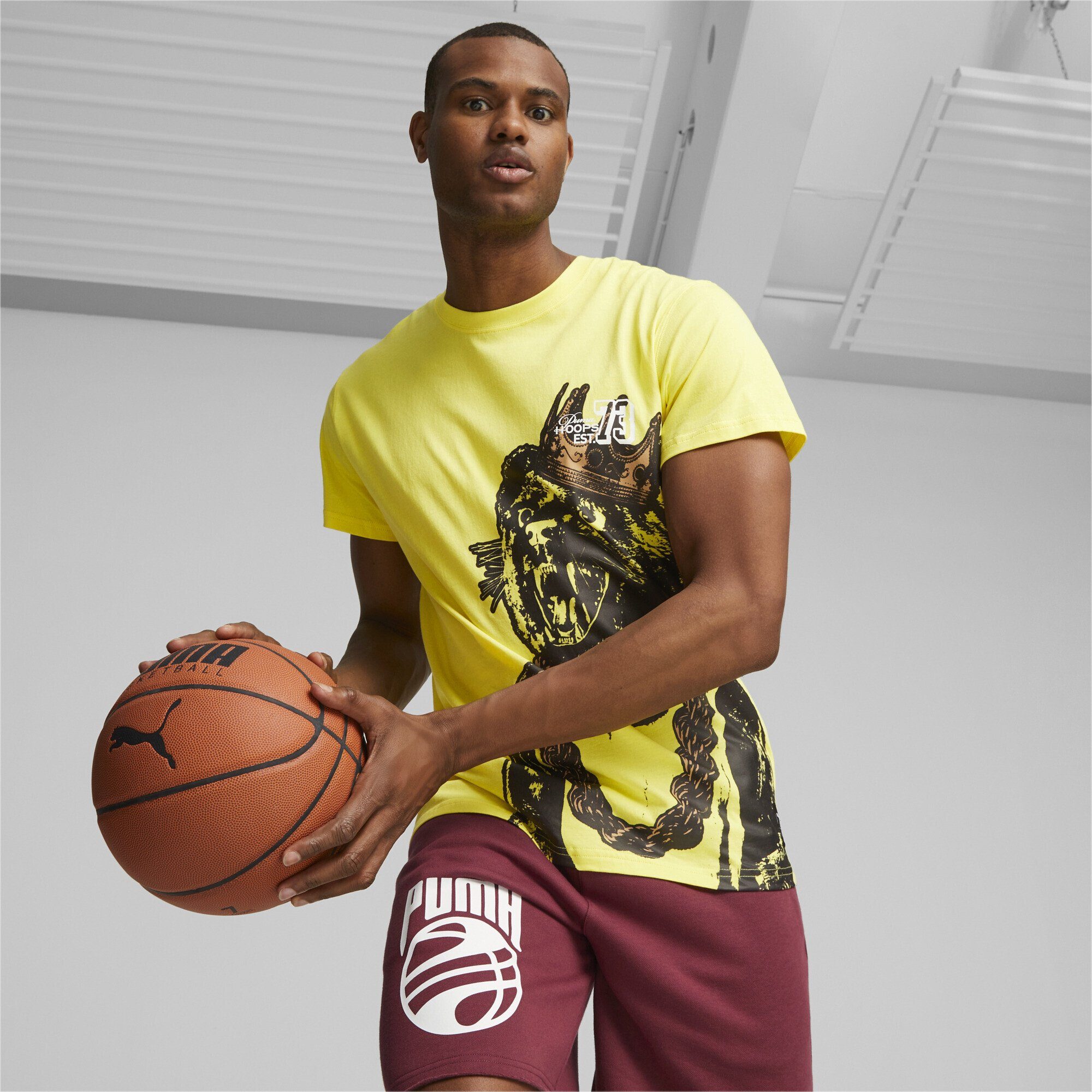 Trainingsshirt Basketball PUMA T-Shirt Franchise Herren Graphic