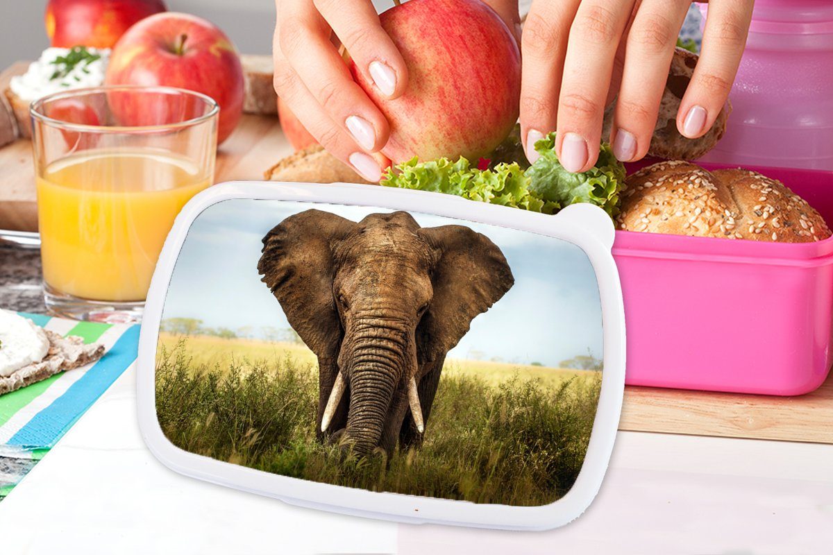 MuchoWow Lunchbox Elefant - rosa Snackbox, Gras Natur, Tiere (2-tlg), Erwachsene, Kinder, - Mädchen, Brotbox - für Kunststoff Kunststoff, Brotdose
