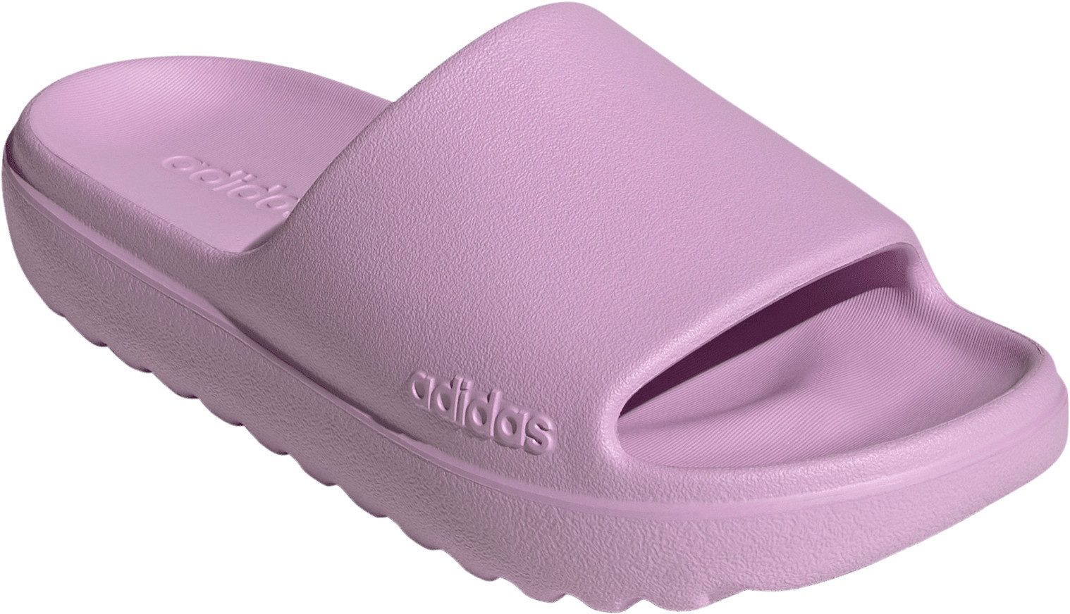 Bliss Lilac / Bliss Lilac / Bliss Lilac