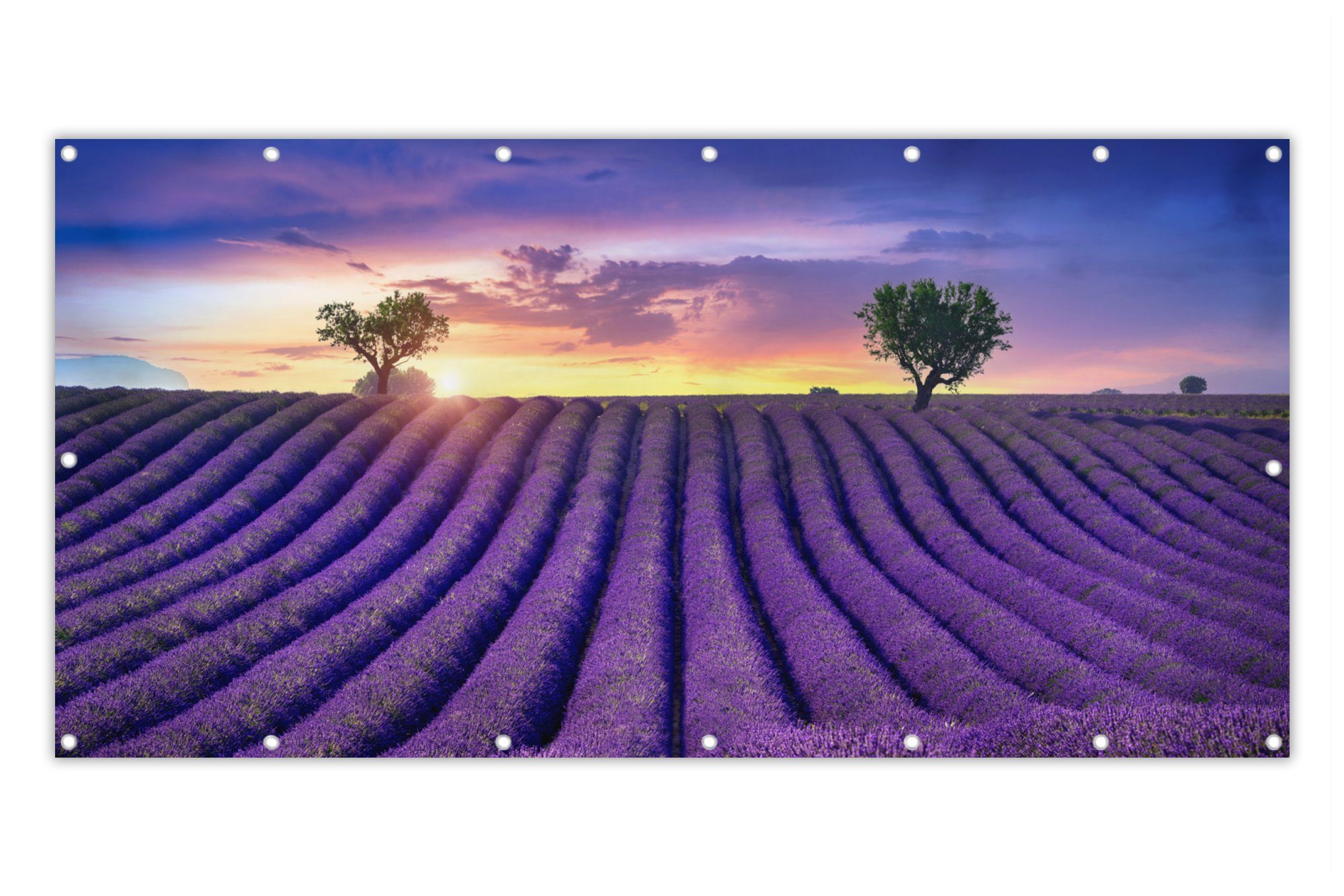 MuchoWow Balkonsichtschutz »Lavendel Hügel Sonnenuntergang Bpmen