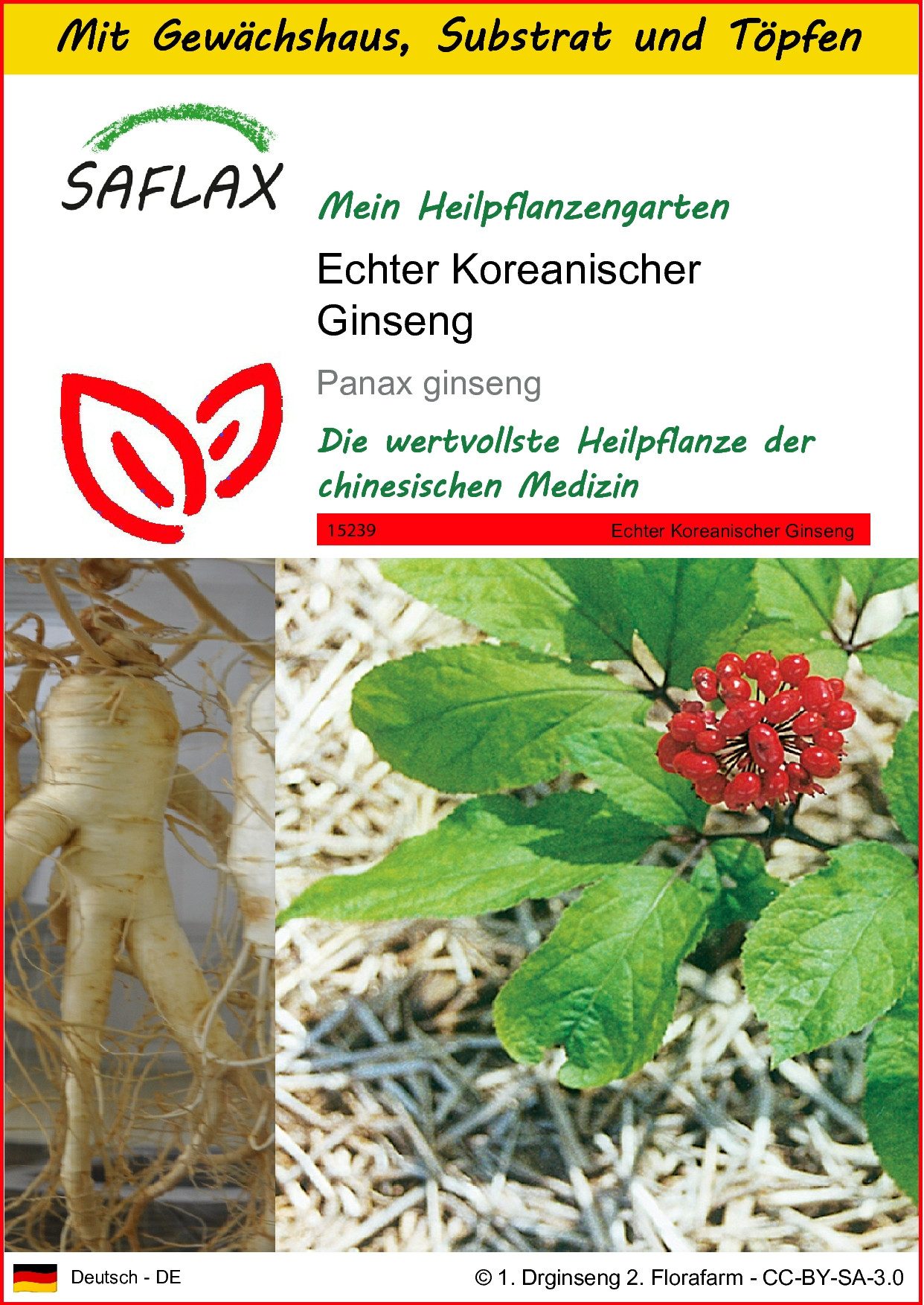 Blumensamen SAFLAX - Anzuchtset - Echter Koreanischer Ginseng