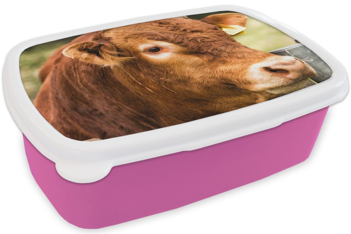 MuchoWow Lunchbox Schottischer Snackbox, - Kinder, Kunststoff, Highlander Kunststoff Zaun, Mädchen, Brotbox rosa (2-tlg), Berg - für Brotdose Erwachsene
