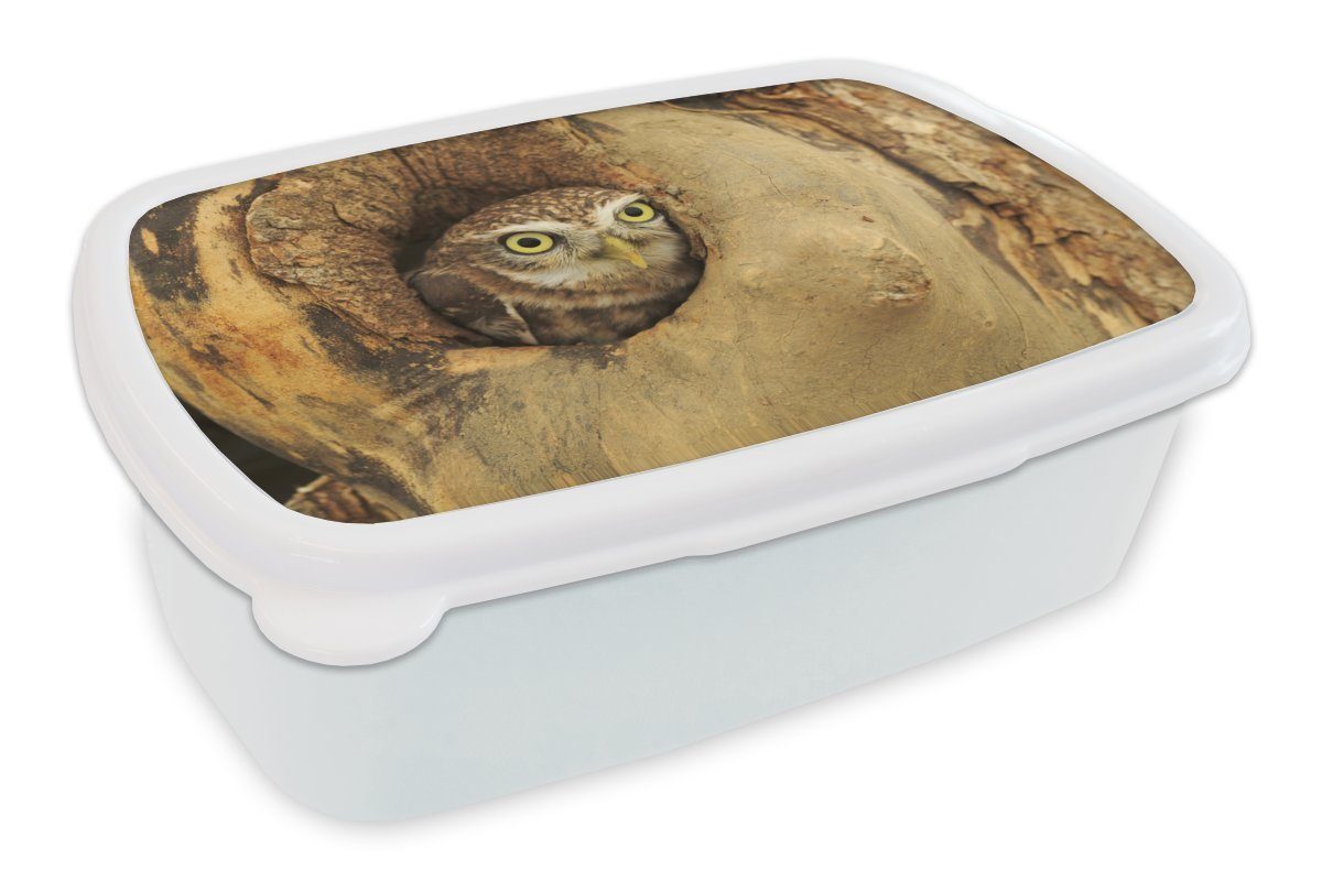 MuchoWow Lunchbox Braune Eule, die aus einem Loch in einem Baum schaut, Kunststoff, (2-tlg), Brotbox für Kinder und Erwachsene, Brotdose, für Jungs und Mädchen weiß