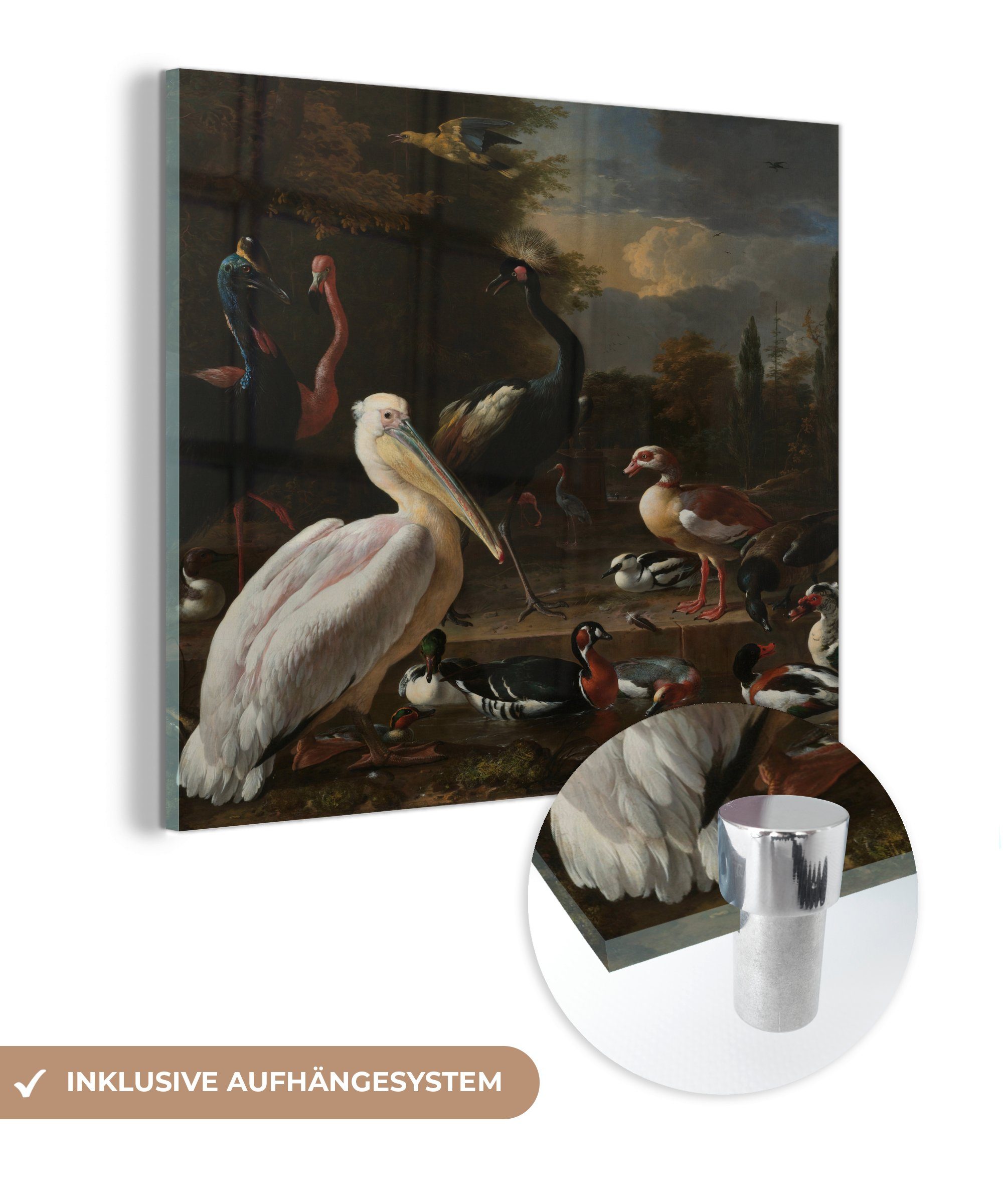 MuchoWow Acrylglasbild Ein Pelikan und andere Vögel in der Nähe eines Wasserbeckens - Gemälde, (1 St), Glasbilder - Bilder auf Glas Wandbild - Foto auf Glas - Wanddekoration