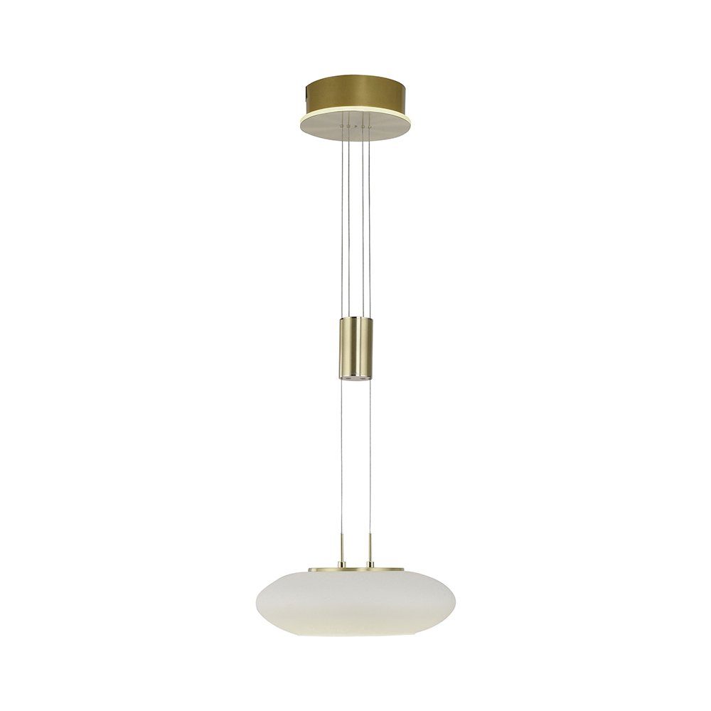 Paul Neuhaus Smarte LED-Leuchte LED Pendellampe günstig online kaufen