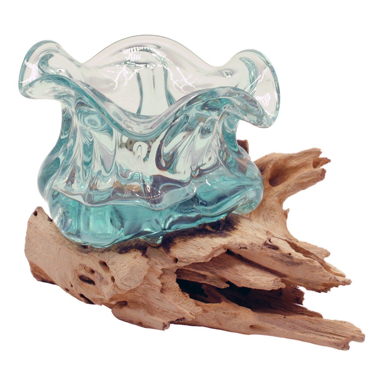 Gedeko Dekovase Wurzel mit Glas Kragen-Rand, Schale, Vase auf Holz mit  geschwungener Öffnung Ø ca. 12 cm