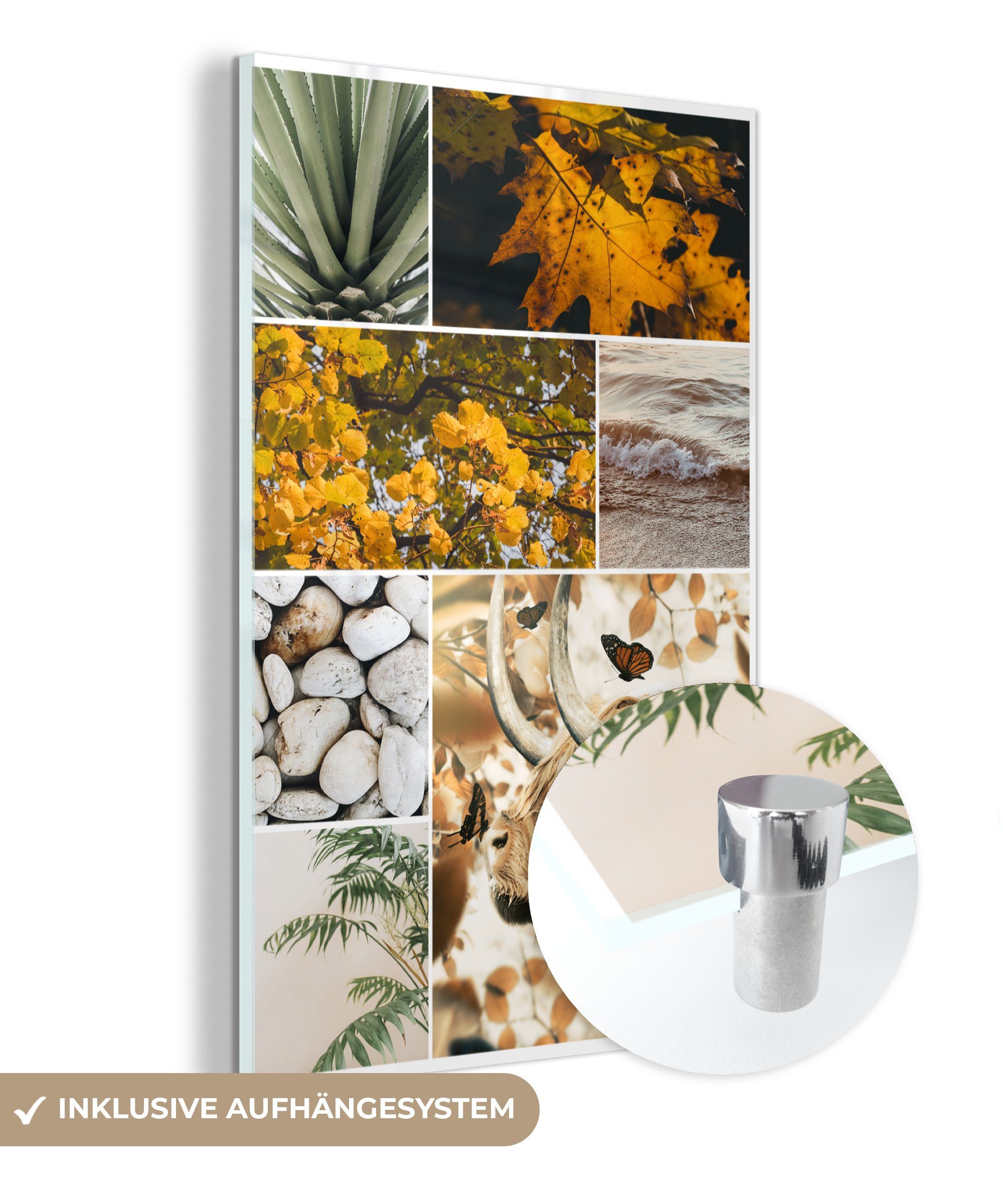 MuchoWow Acrylglasbild Schottische Highlander - Collage - Meer - Pflanzen, (1 St), Glasbilder - Bilder auf Glas Wandbild - Foto auf Glas - Wanddekoration