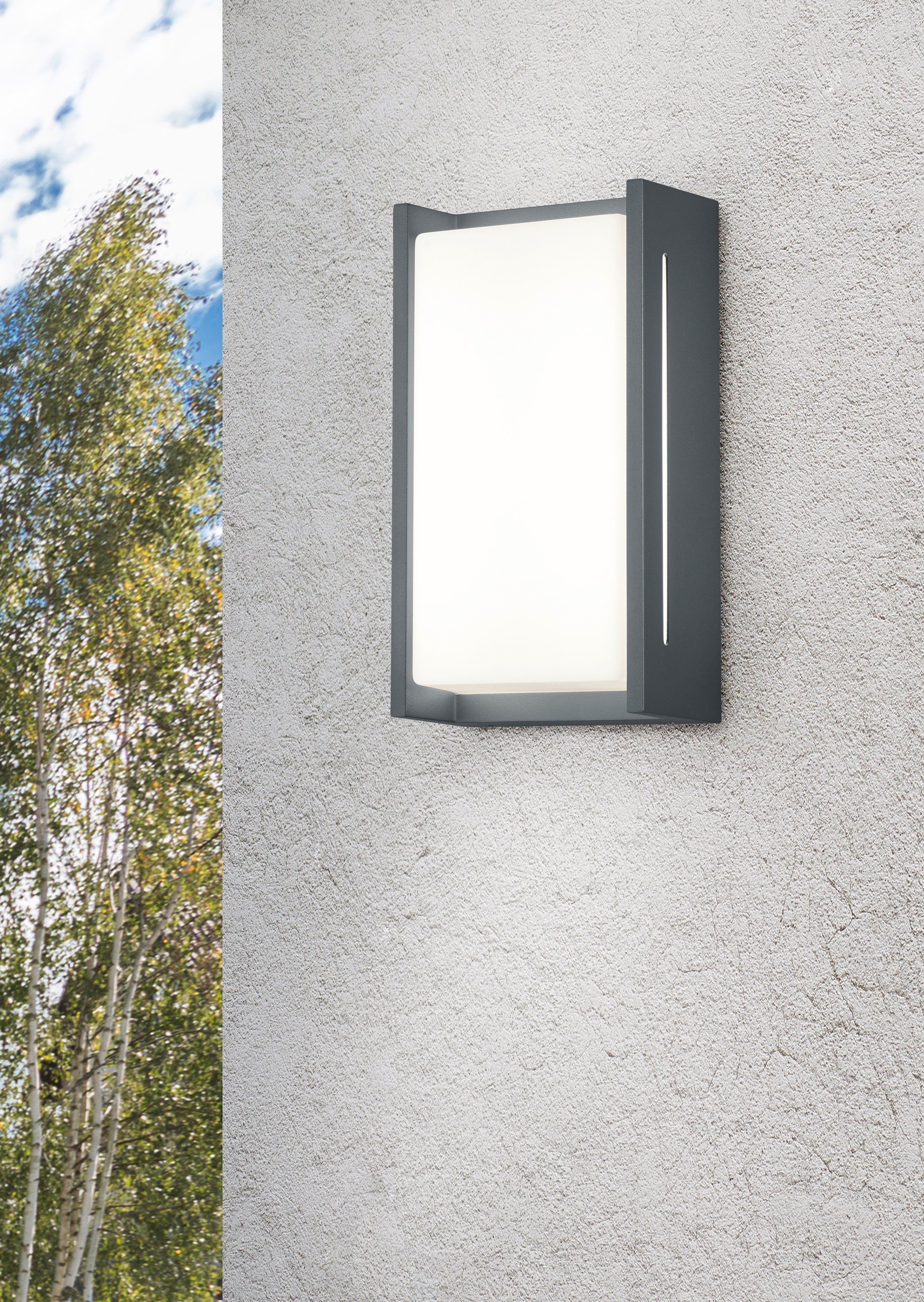 TRIO Leuchten LED Außen-Wandleuchte INDUS, LED fest integriert, Warmweiß, Wandleuchte Hauswand IP54 Fassadenbeleuchtung warmweiß 3000K, 23x12 cm – Bild 3 von 5