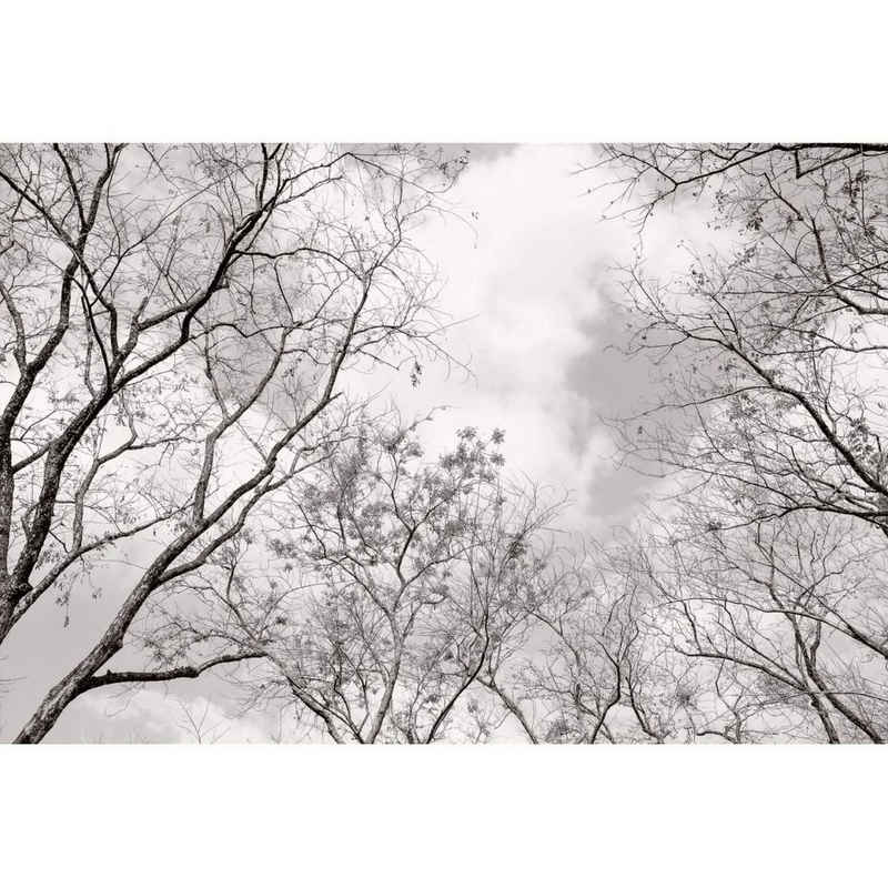 K&L Wall Art Fototapete schwarz-weiß Vliestapete Baum des Lebens Tapete Baumkronen im Himmel, Vlies Fototapete matt, Wald, Vintage Feng Shui Deko