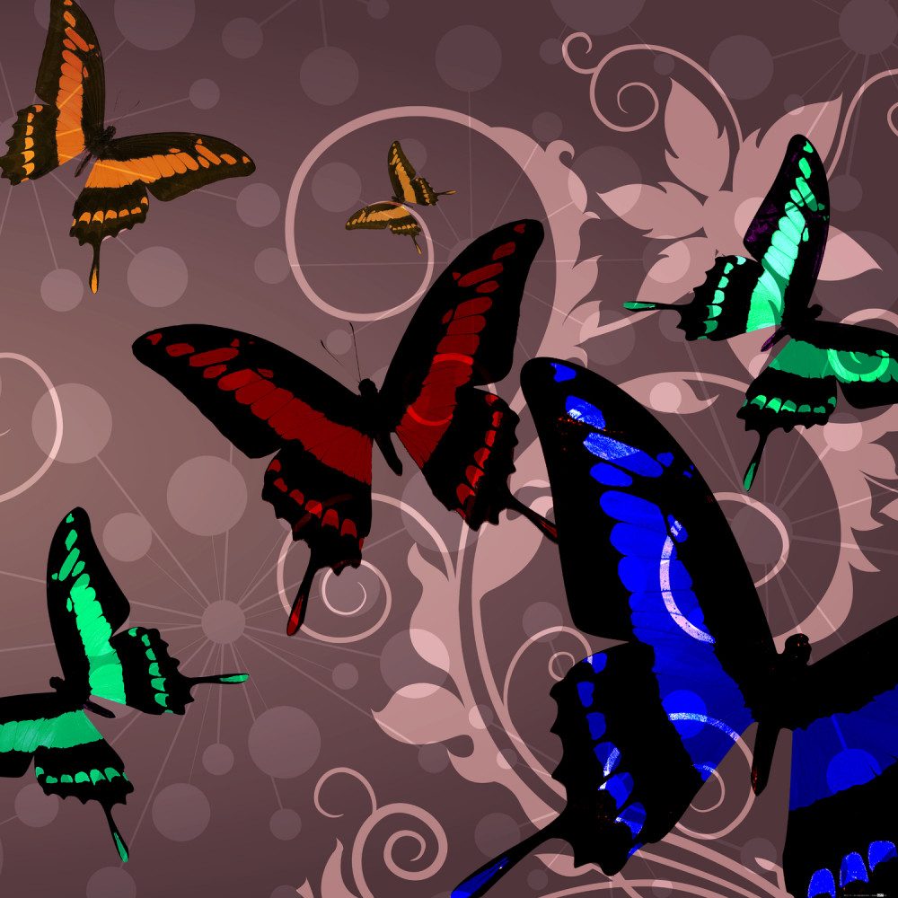 1art1 Poster Schmetterlinge Kunstdruck Bild - Schmetterlinge Und