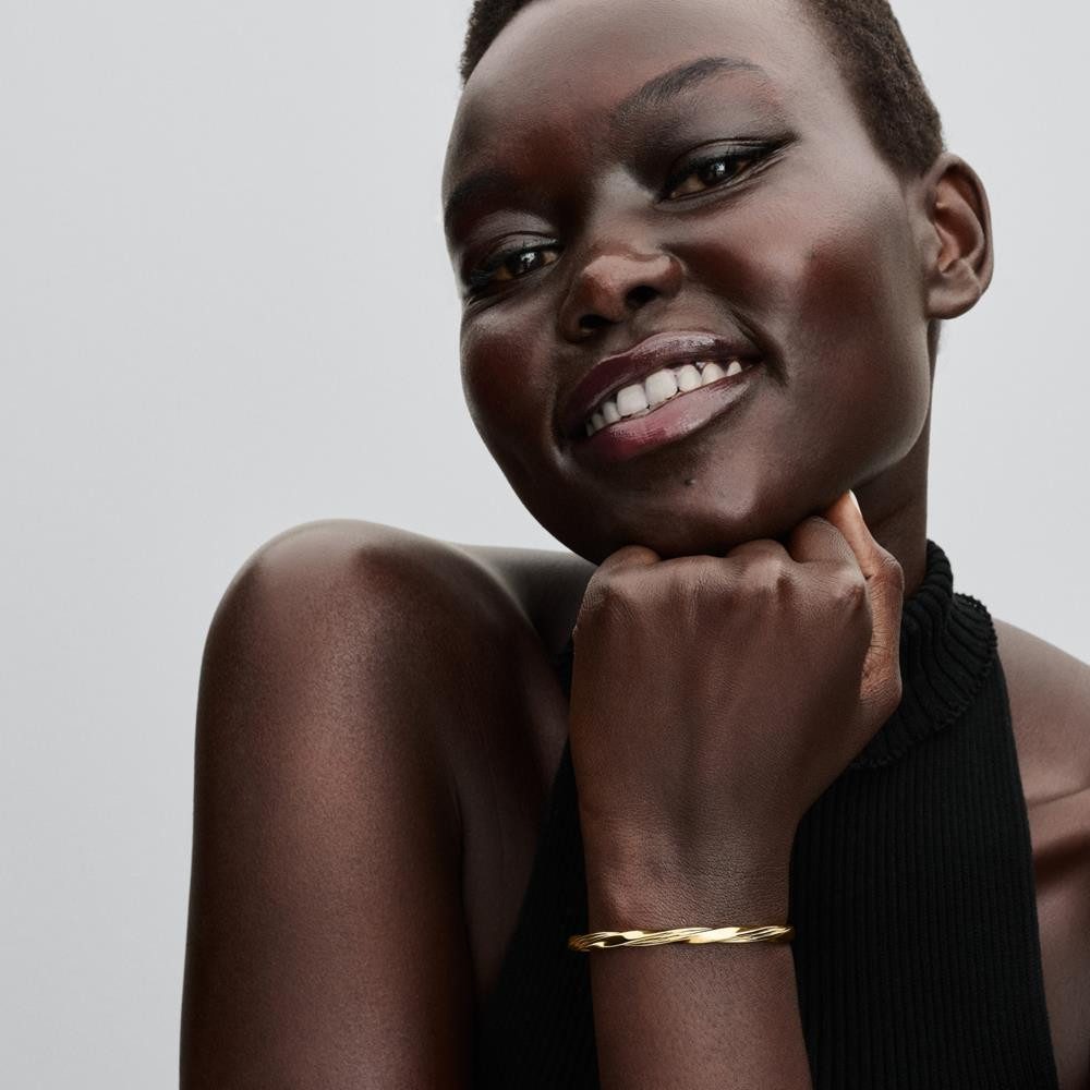 Pandora Armband PANDORA Verdrehter Damen Armreif, vergoldet, Essence günstig online kaufen