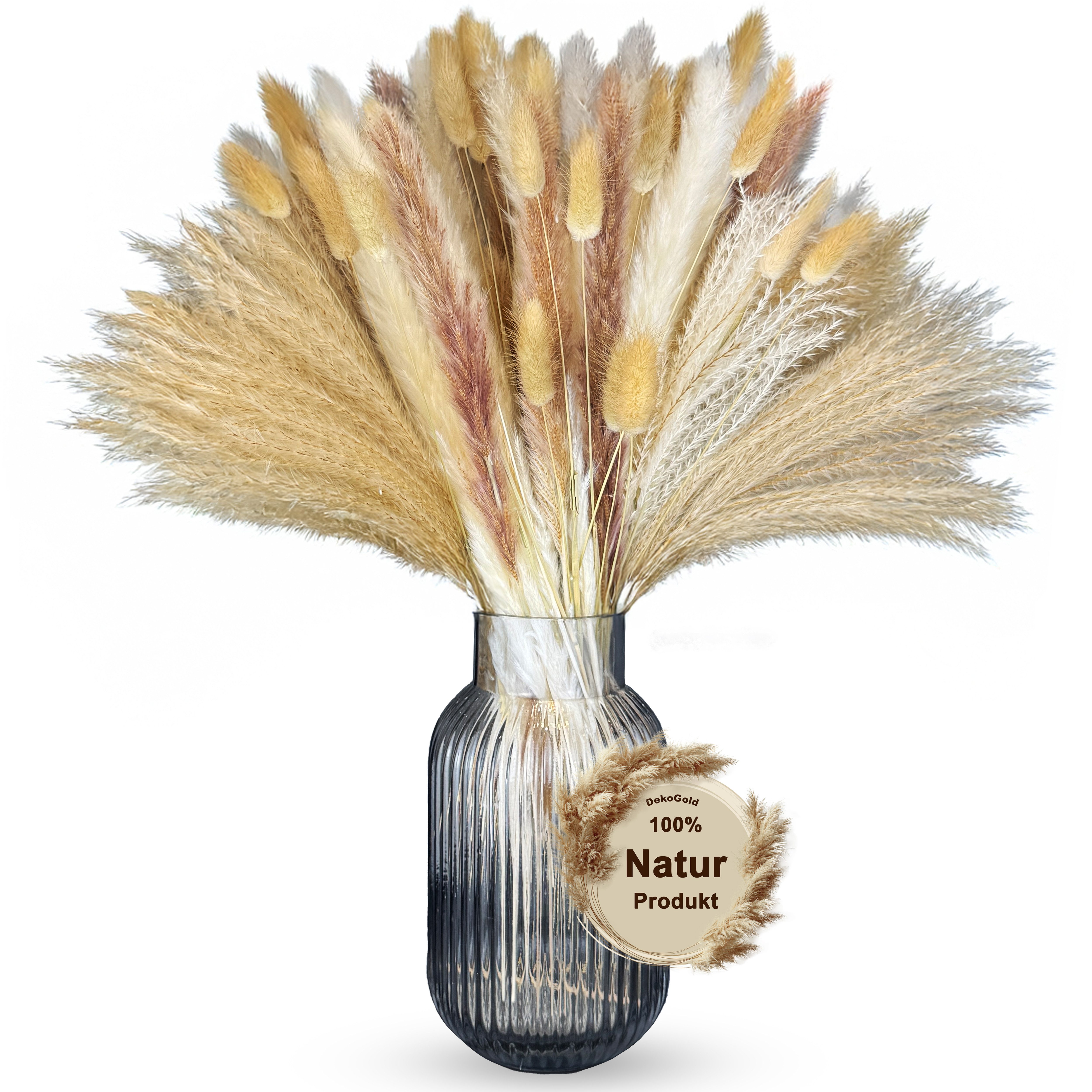 Trockenblume Trockenblumenstrauß Pampasgras, Nina-Maria's Deko Gold, 1 Stra günstig online kaufen