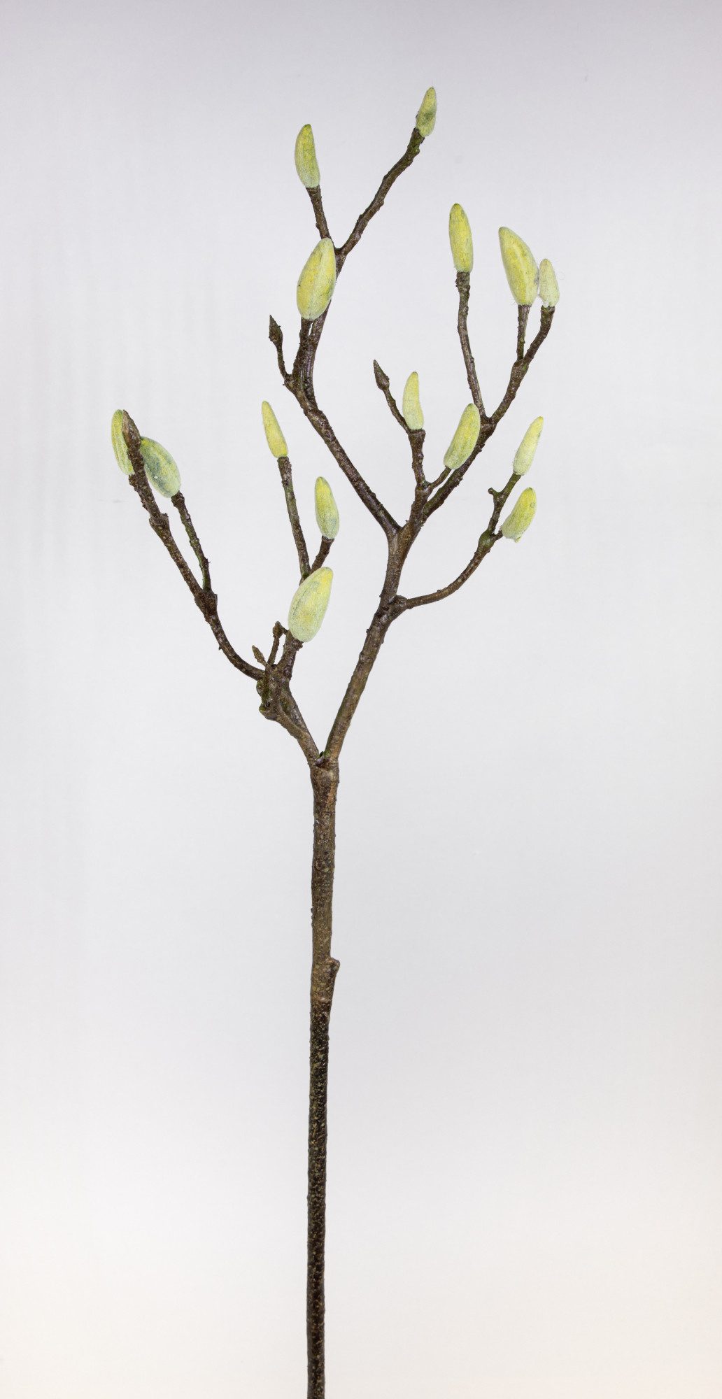 Kunstblume Magnolien-Knospen-Zweig 90cm CG künstliche Blumen Magnolienzweig günstig online kaufen