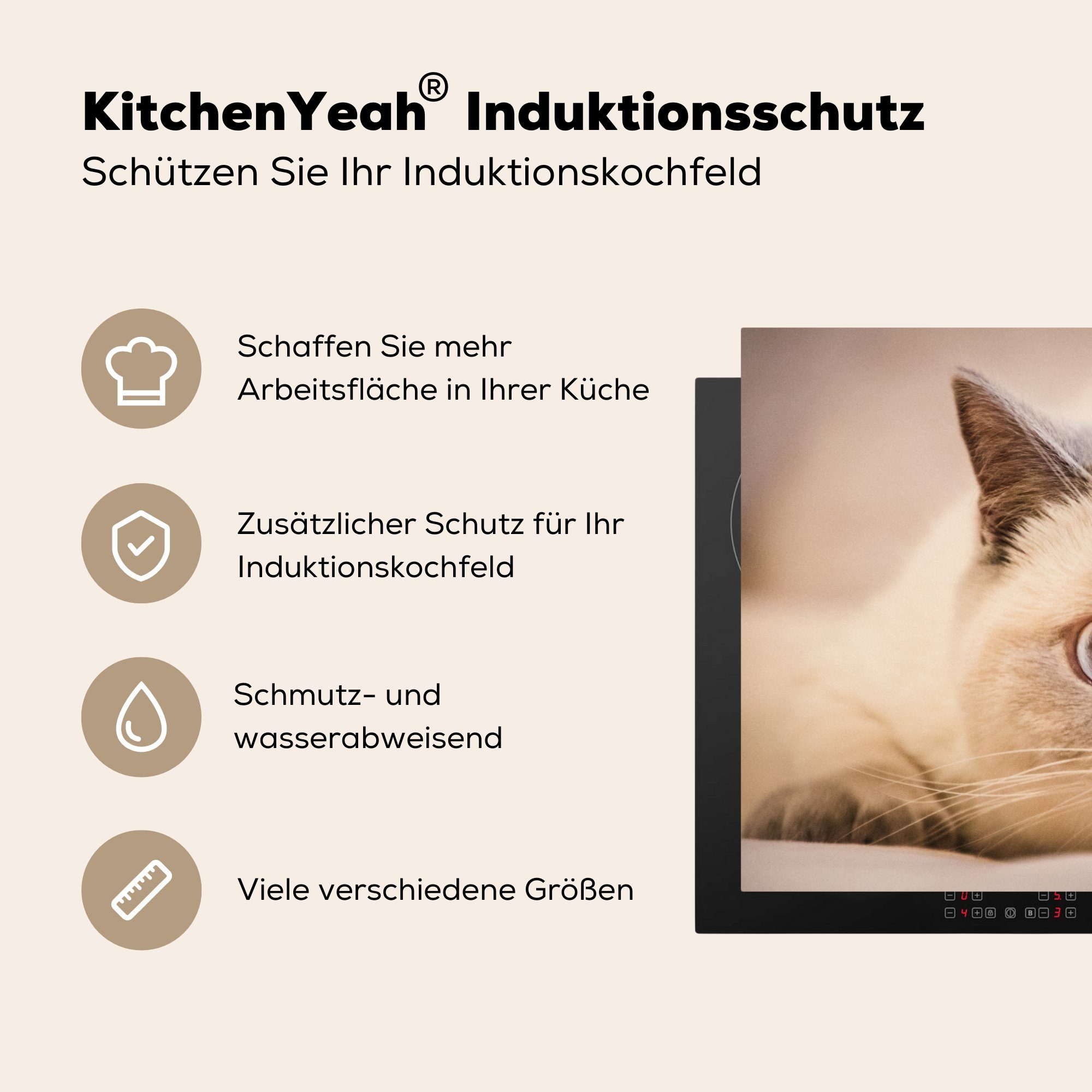Vinyl, 81x52 Induktionskochfeld - Ceranfeldabdeckung für Herdblende-/Abdeckplatte Weiß Katze cm, tlg), - Großaufnahme, Schutz die küche, (1 MuchoWow