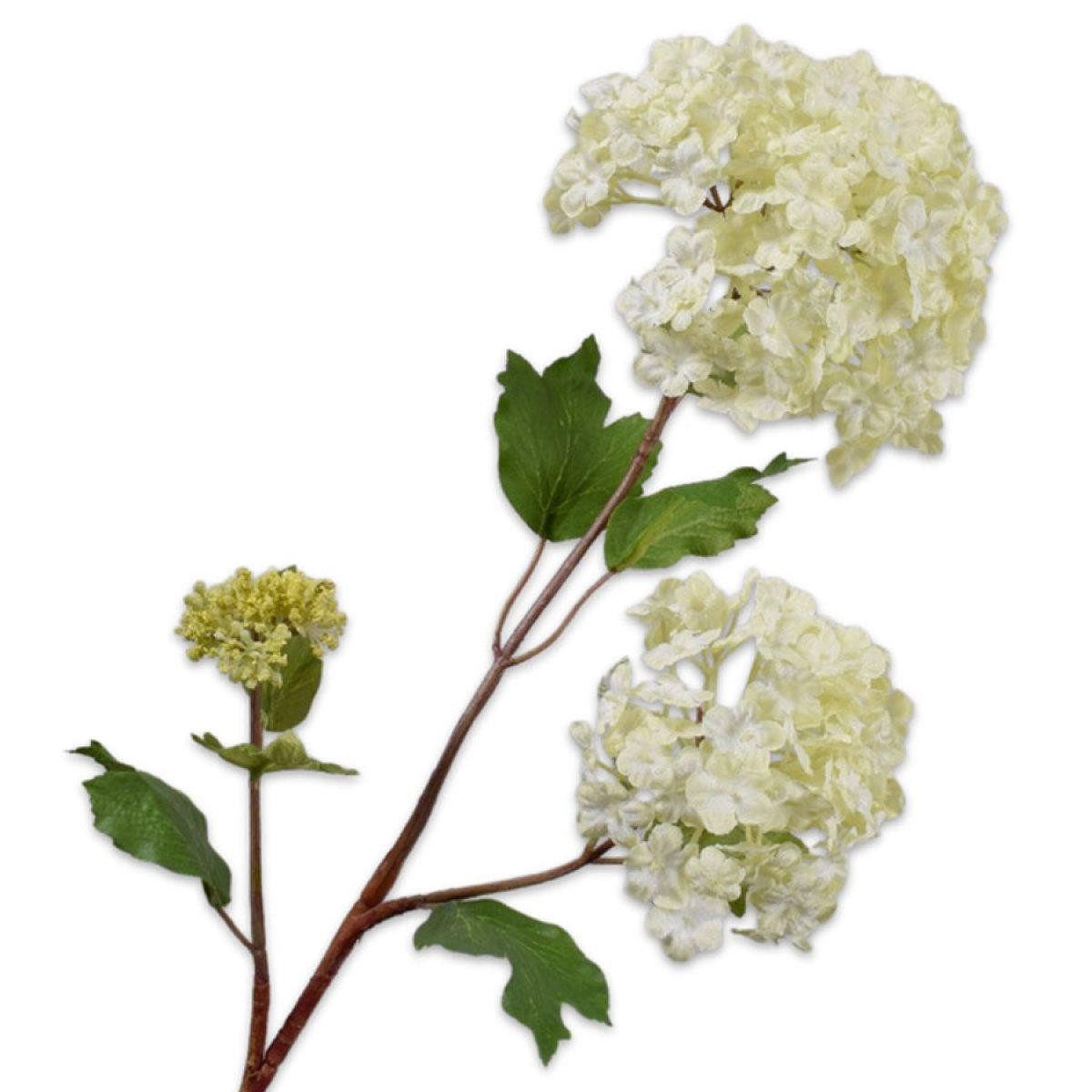 Künstliche Zimmerpflanze Seidenblume Schneeball Zweig Creme (68cm), SILK-KA