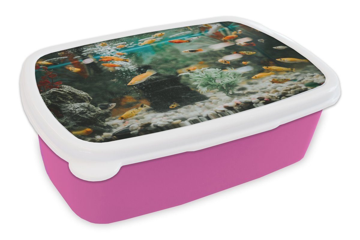 MuchoWow Lunchbox Kleine Fische in einem Aquarium, Kunststoff, (2-tlg), Brotbox für Erwachsene, Brotdose Kinder, Snackbox, Mädchen, Kunststoff rosa