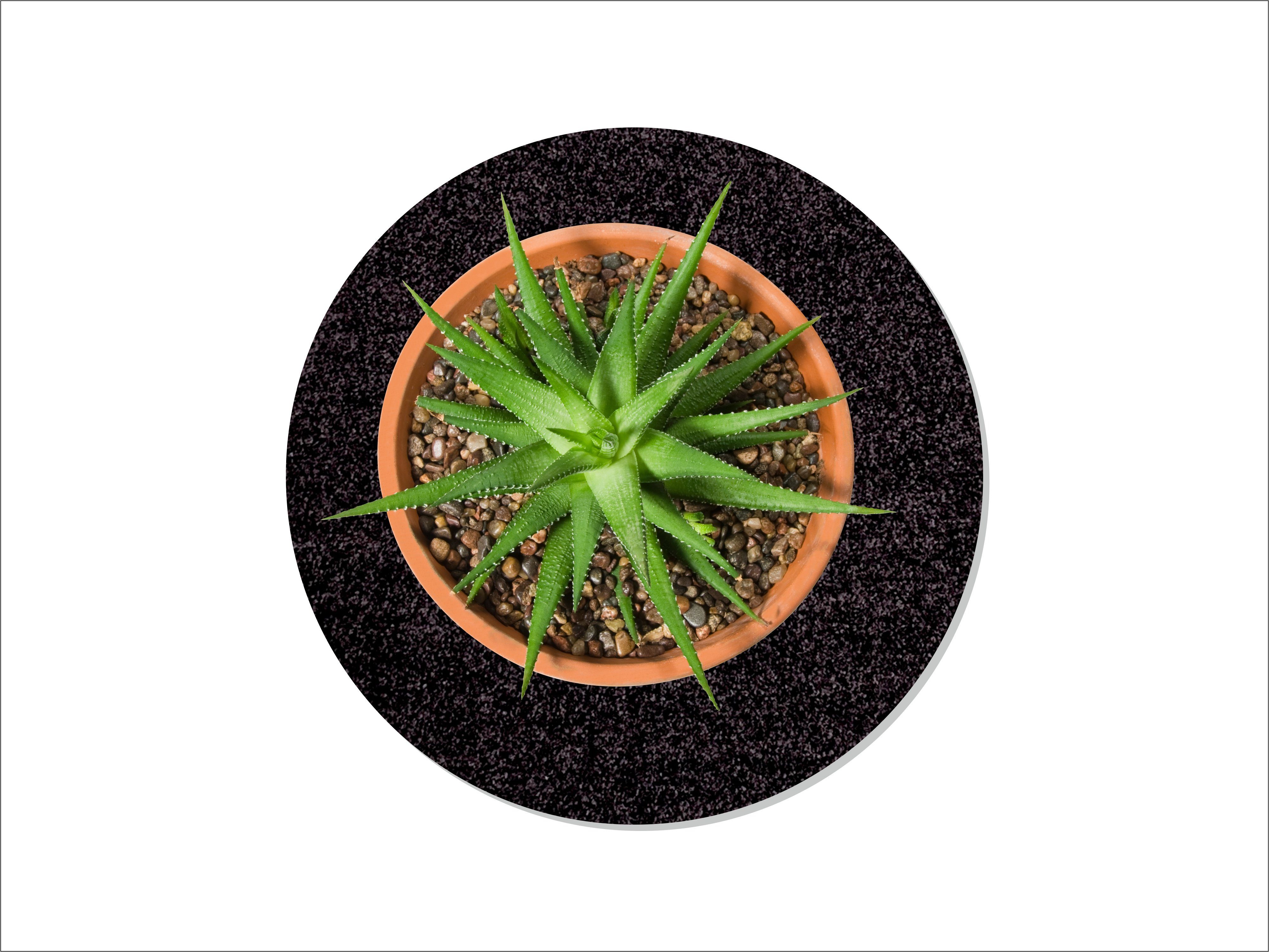 Keilbach Designprodukte Blumentopfuntersetzer flora-s black Ø 25 cm