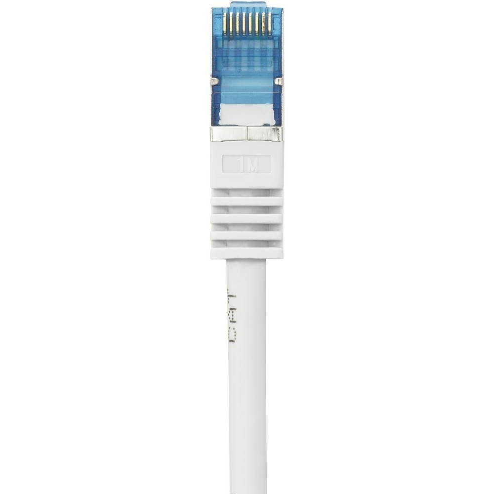 m LAN-Kabel Renkforce CAT6A 1 Netzwerkkabel S/FTP